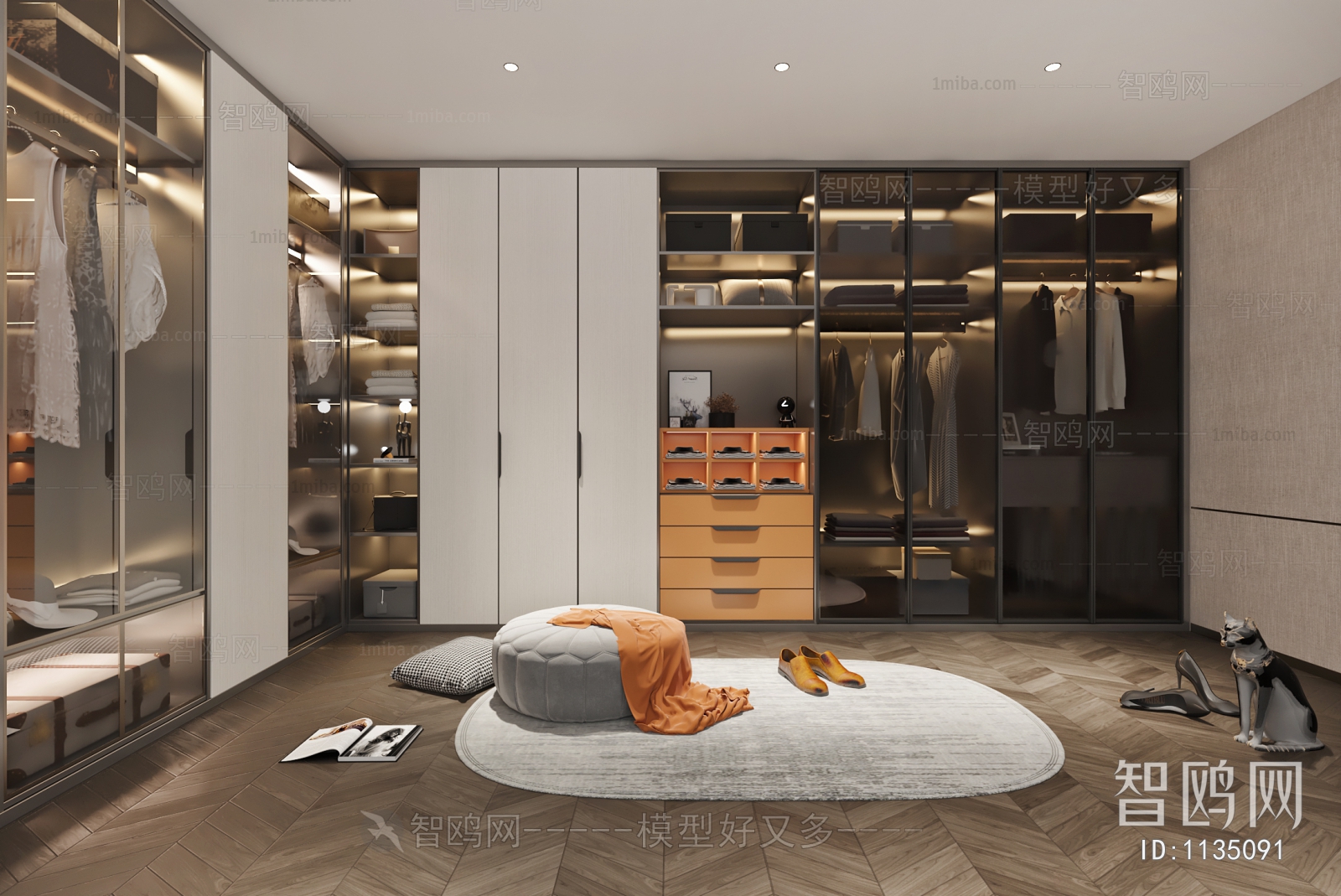 Modern Clothes Storage Area