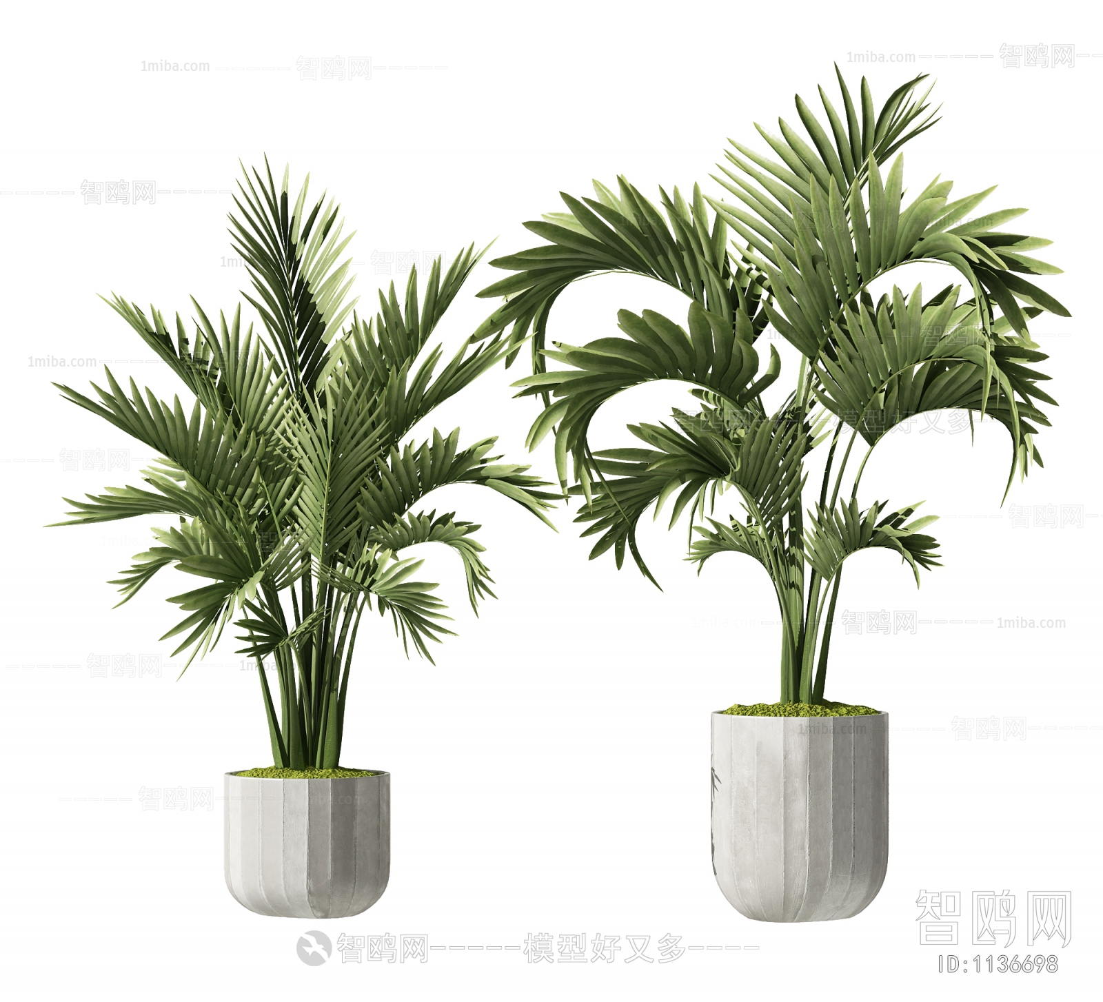 Modern Potted Green Plant