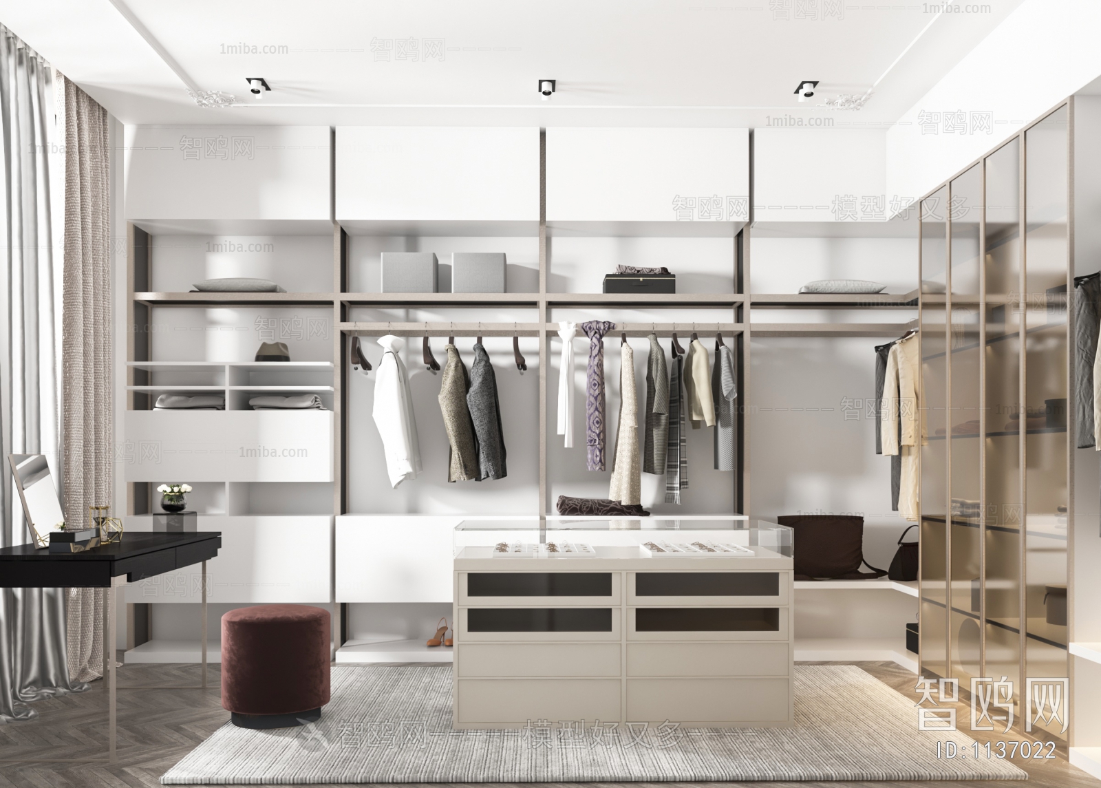 Modern Clothes Storage Area