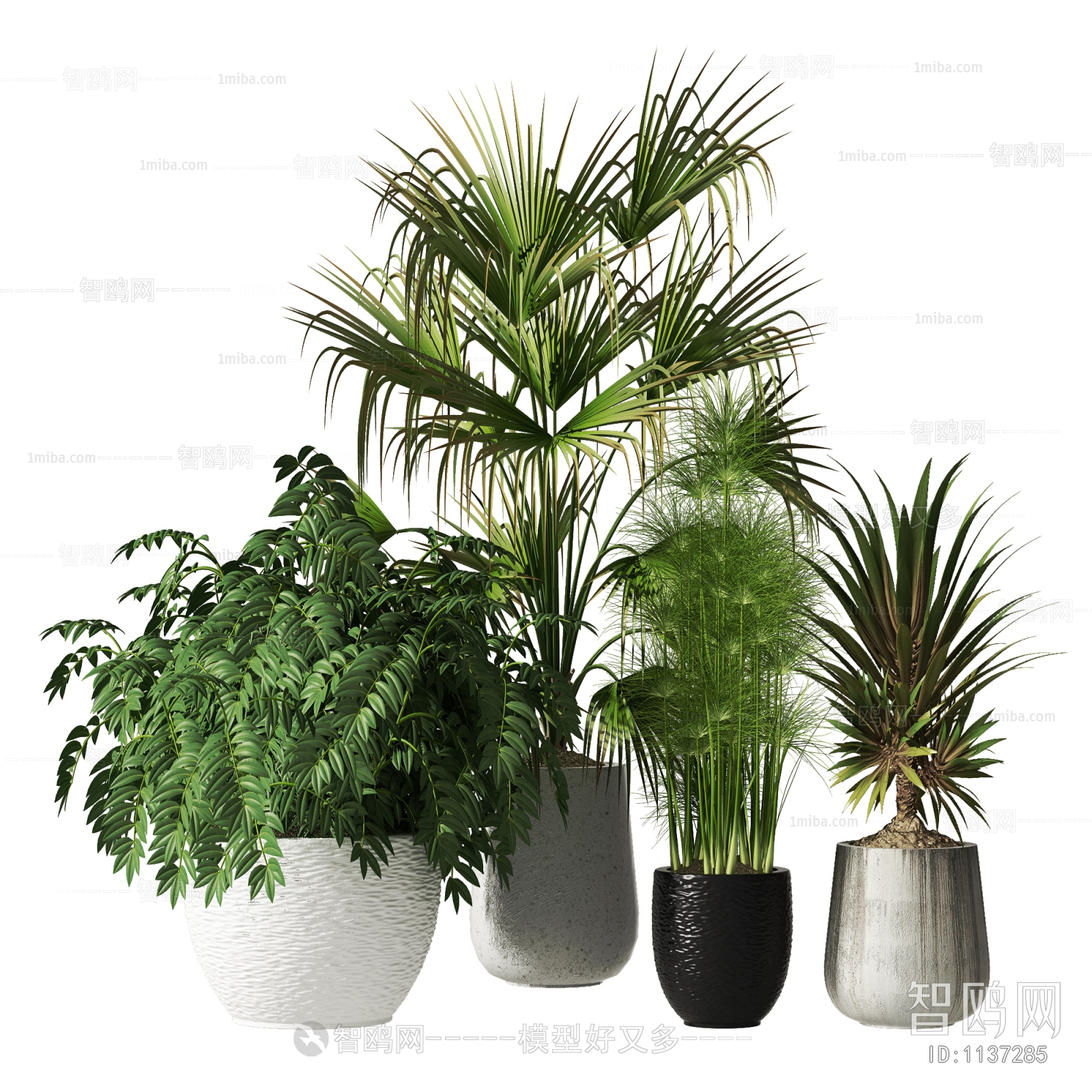 Modern Potted Green Plant