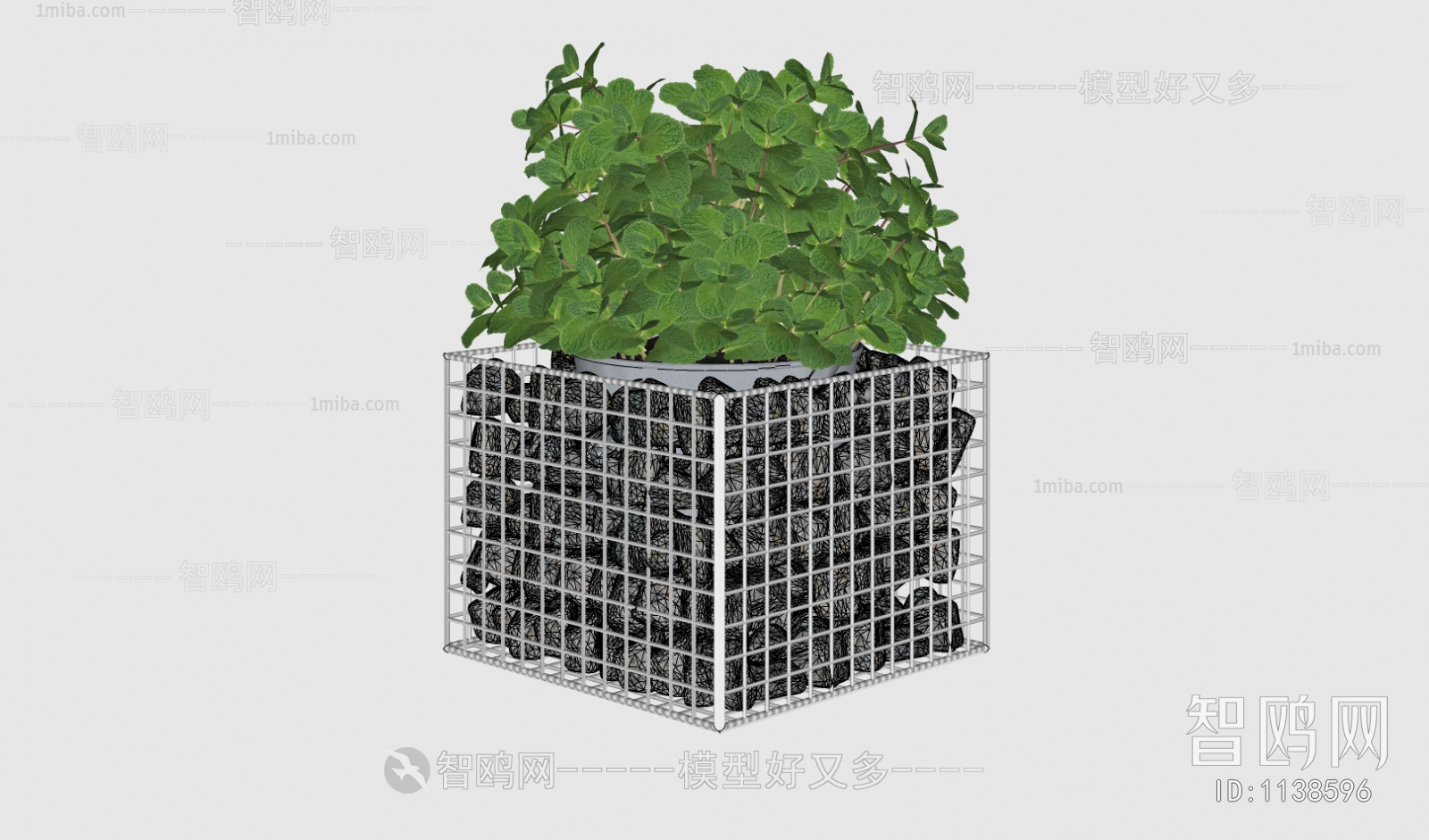 Modern Potted Green Plant