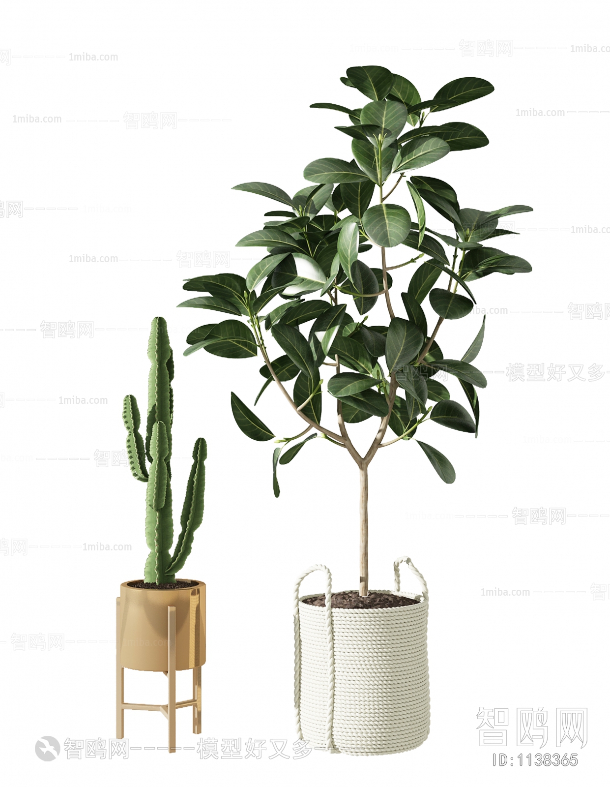 Modern Potted Green Plant