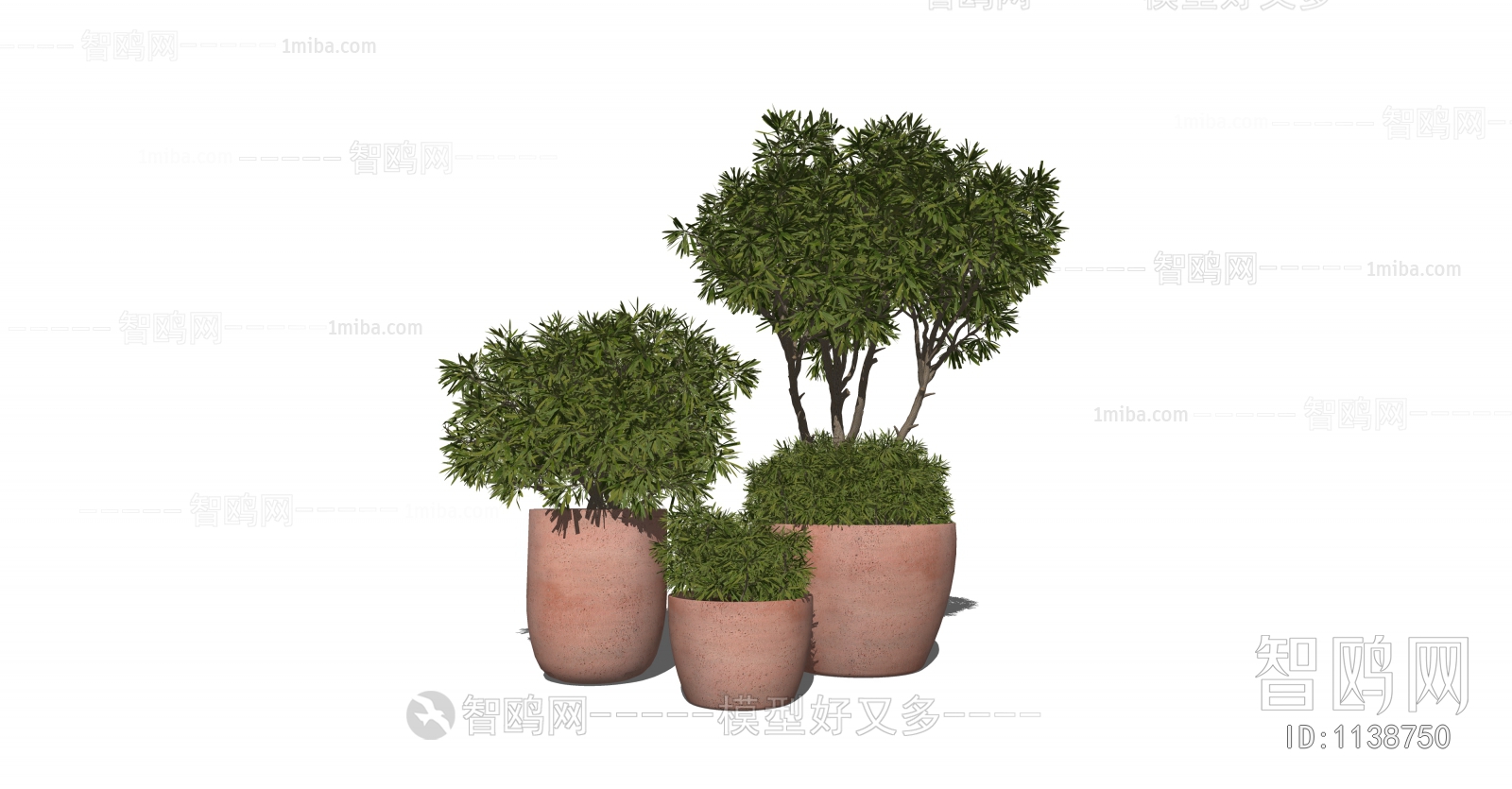 现代绿植盆栽