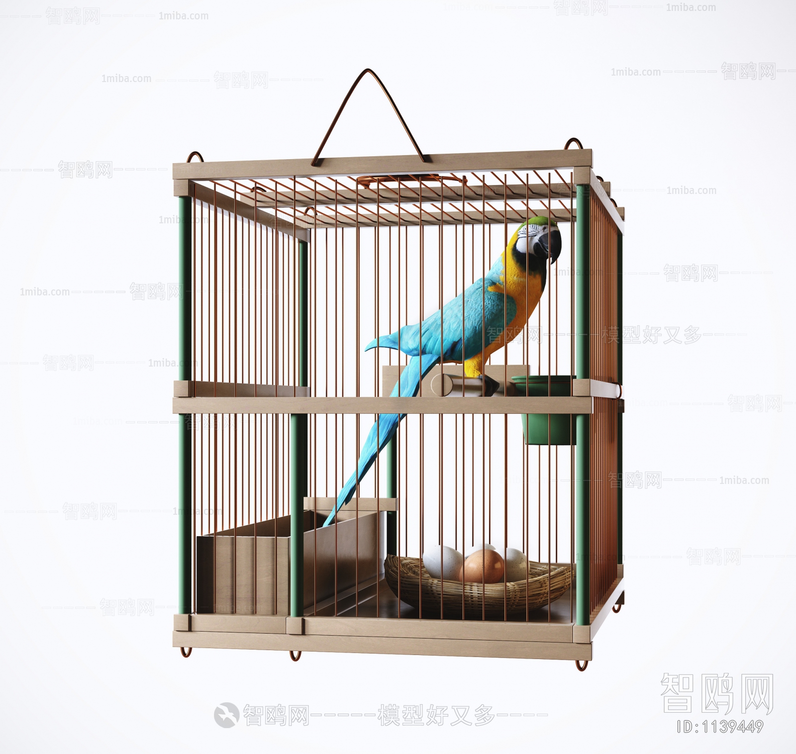现代鸟笼，鹦鹉