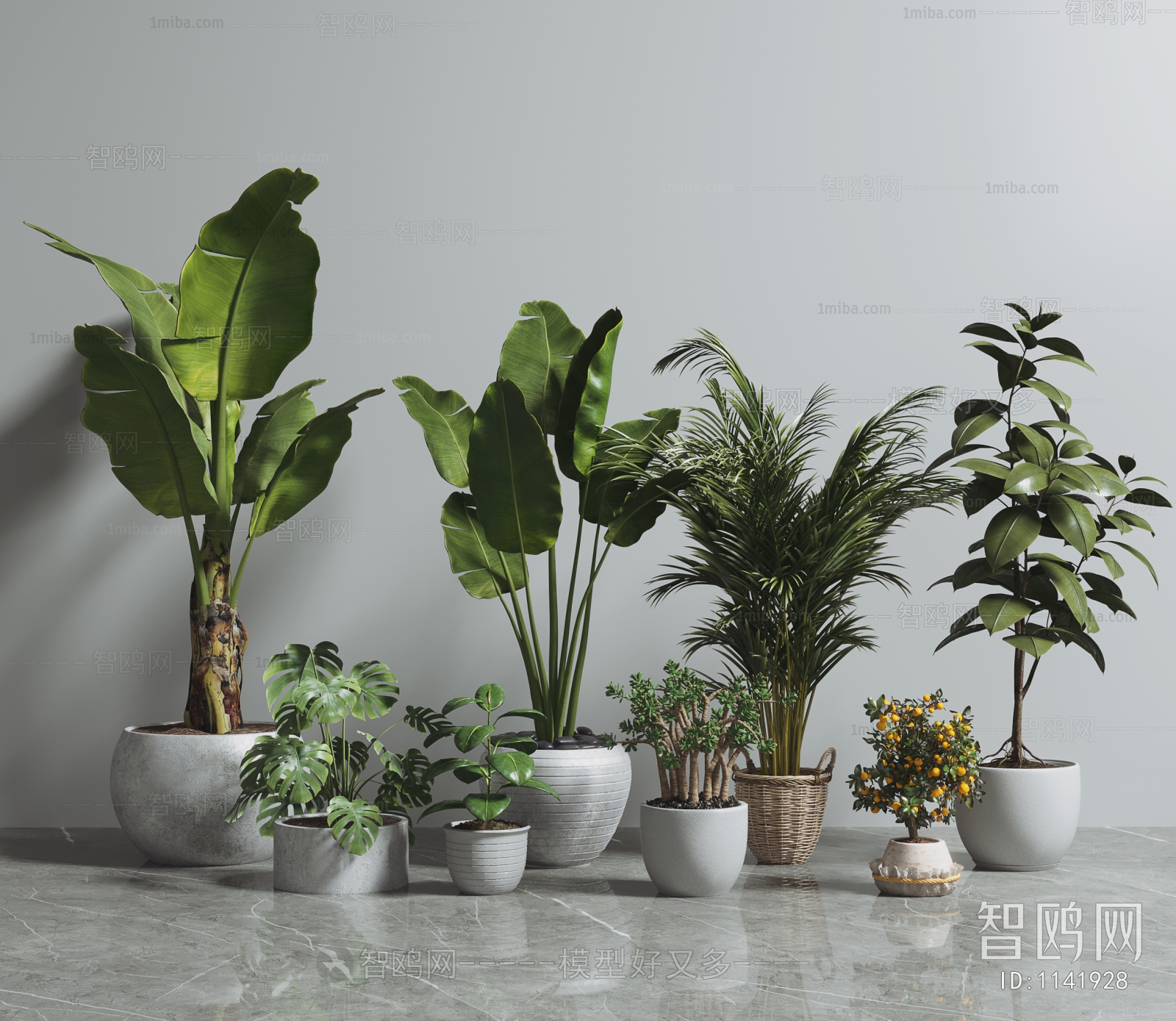 Modern Potted Green Plant