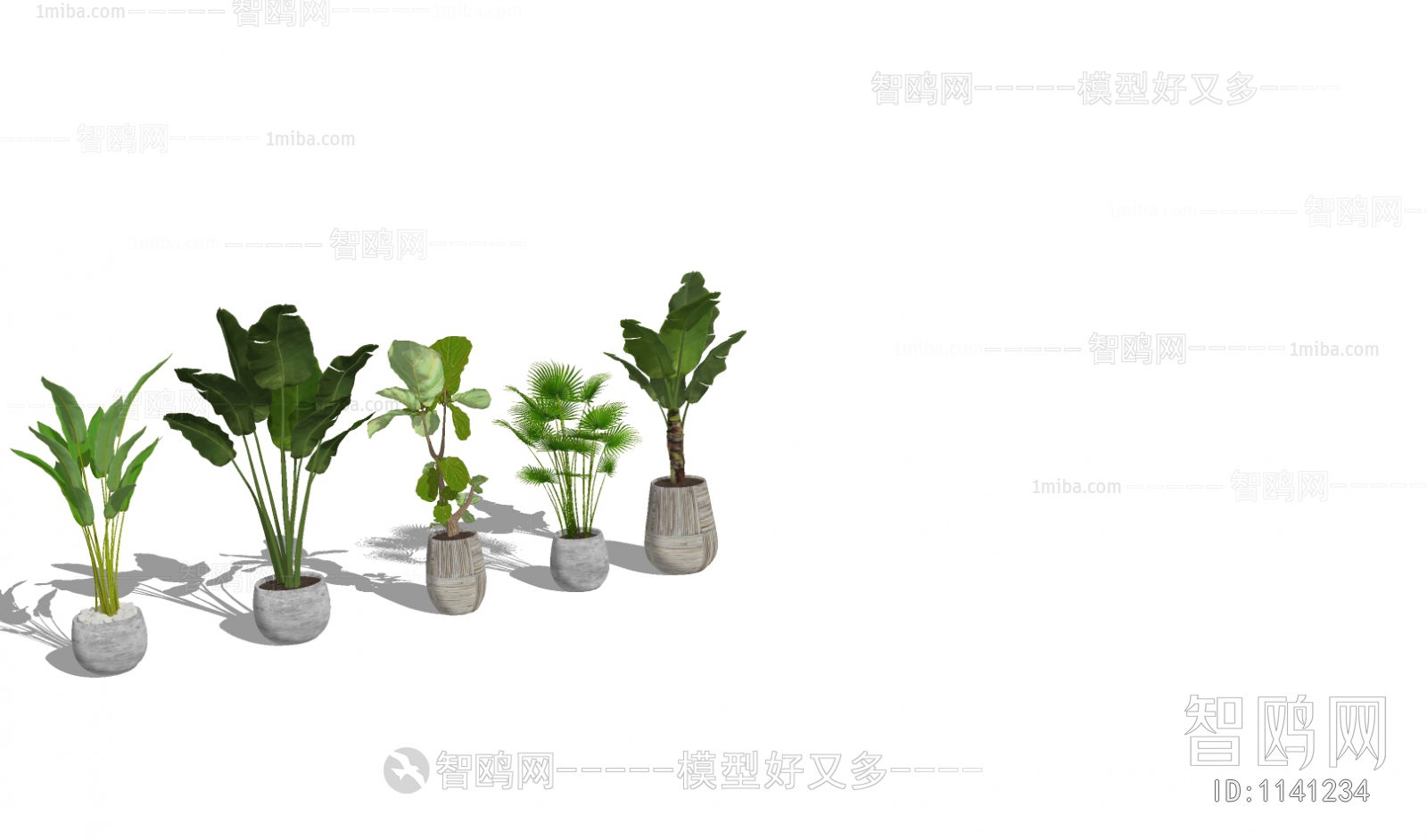 现代绿植盆栽