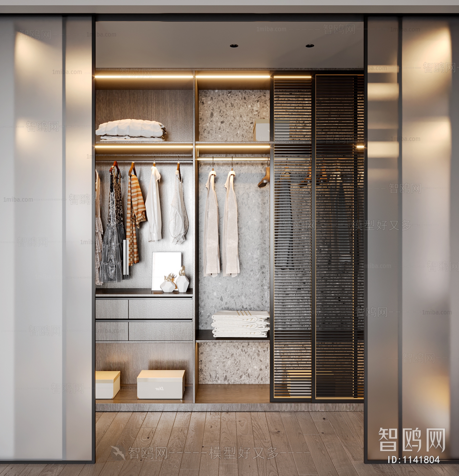 Modern Clothes Storage Area