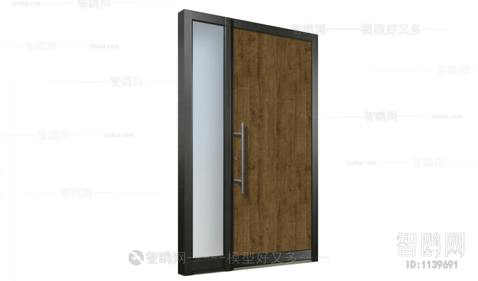 Modern Door