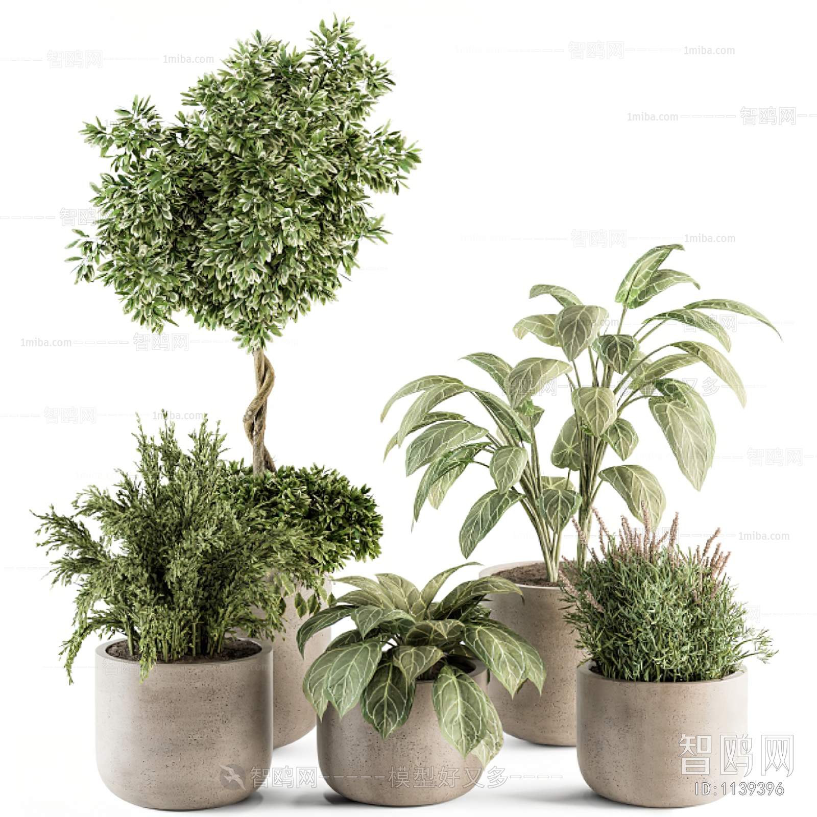 Modern Potted Green Plant