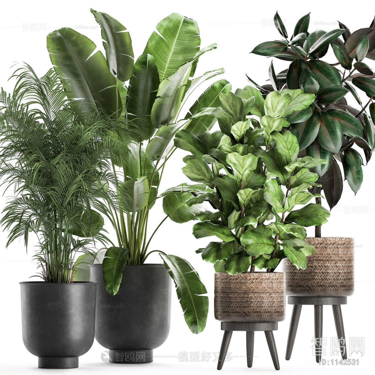 Modern Potted Green Plant