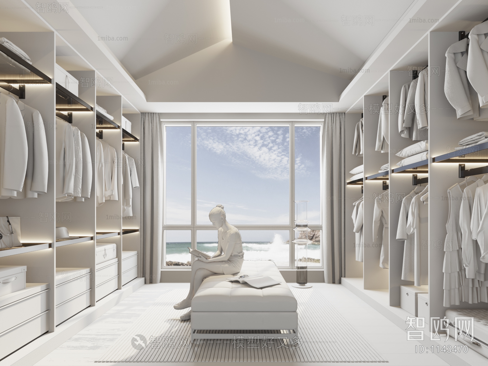 Modern Clothes Storage Area