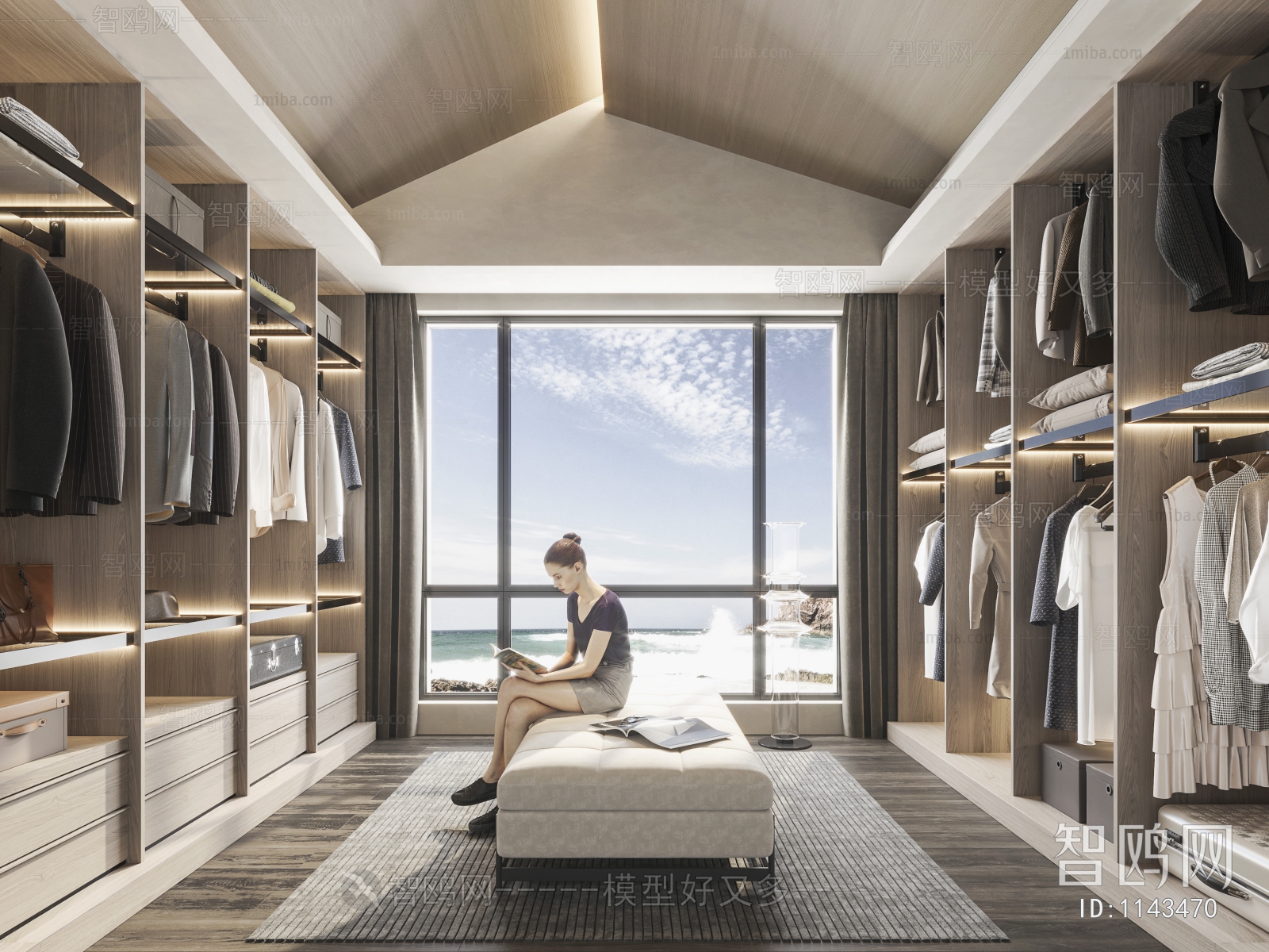 Modern Clothes Storage Area