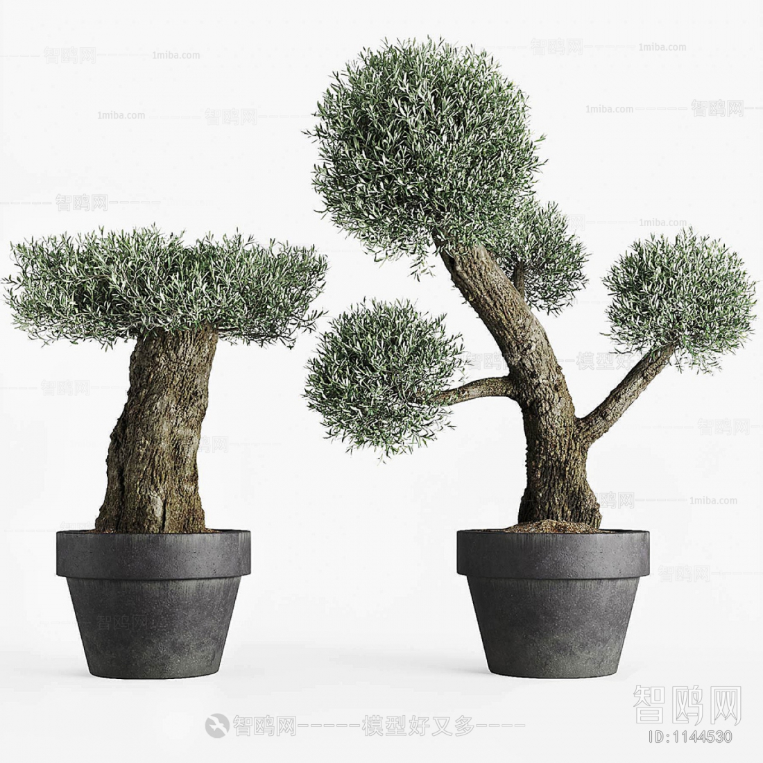 Modern Potted Green Plant