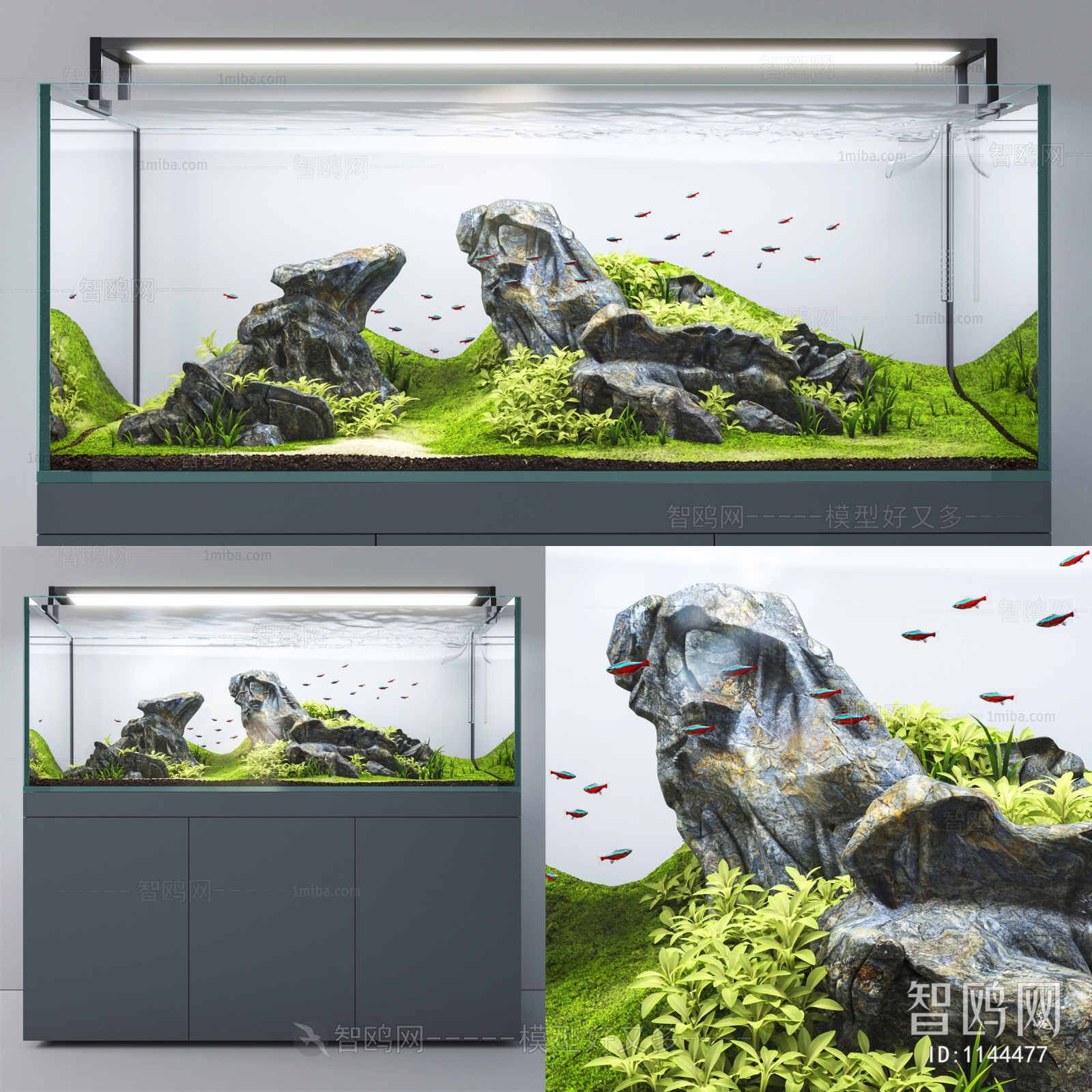 Modern Fish Tank