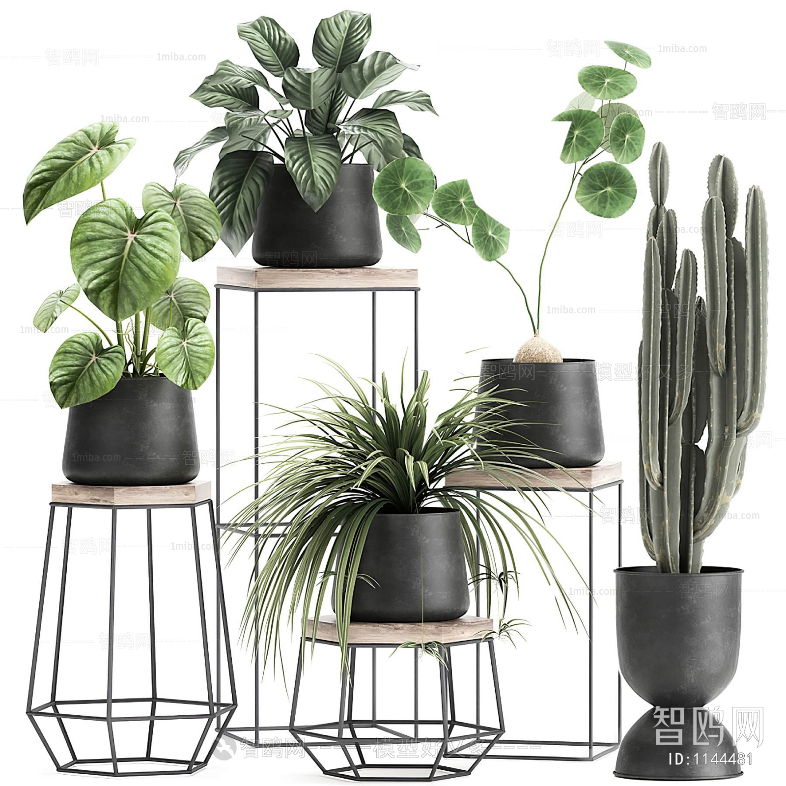 Modern Potted Green Plant