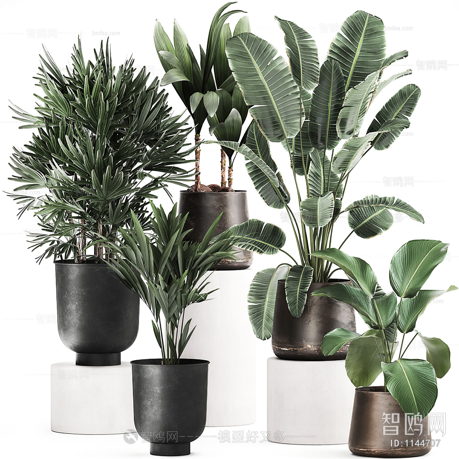 Modern Potted Green Plant