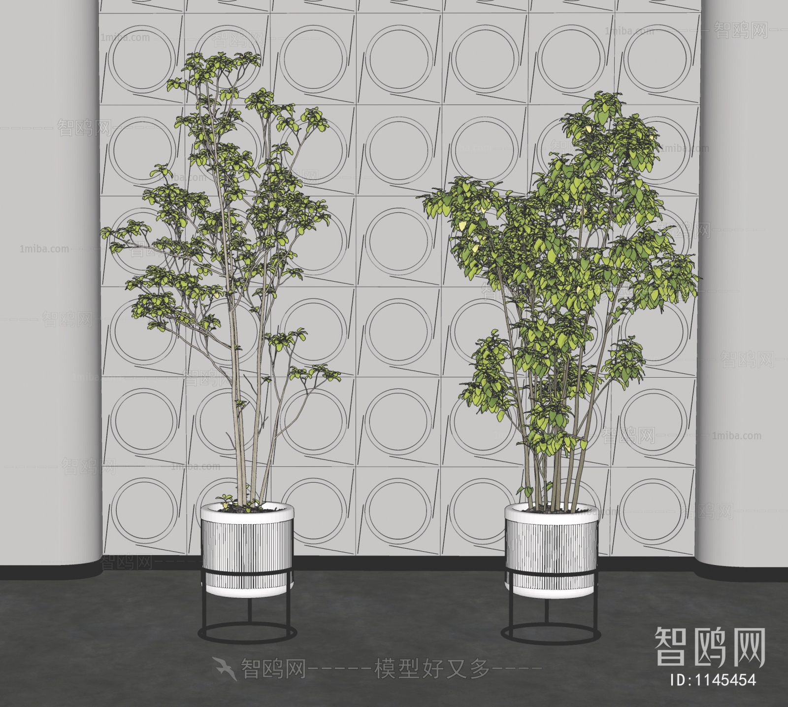 Modern Potted Green Plant