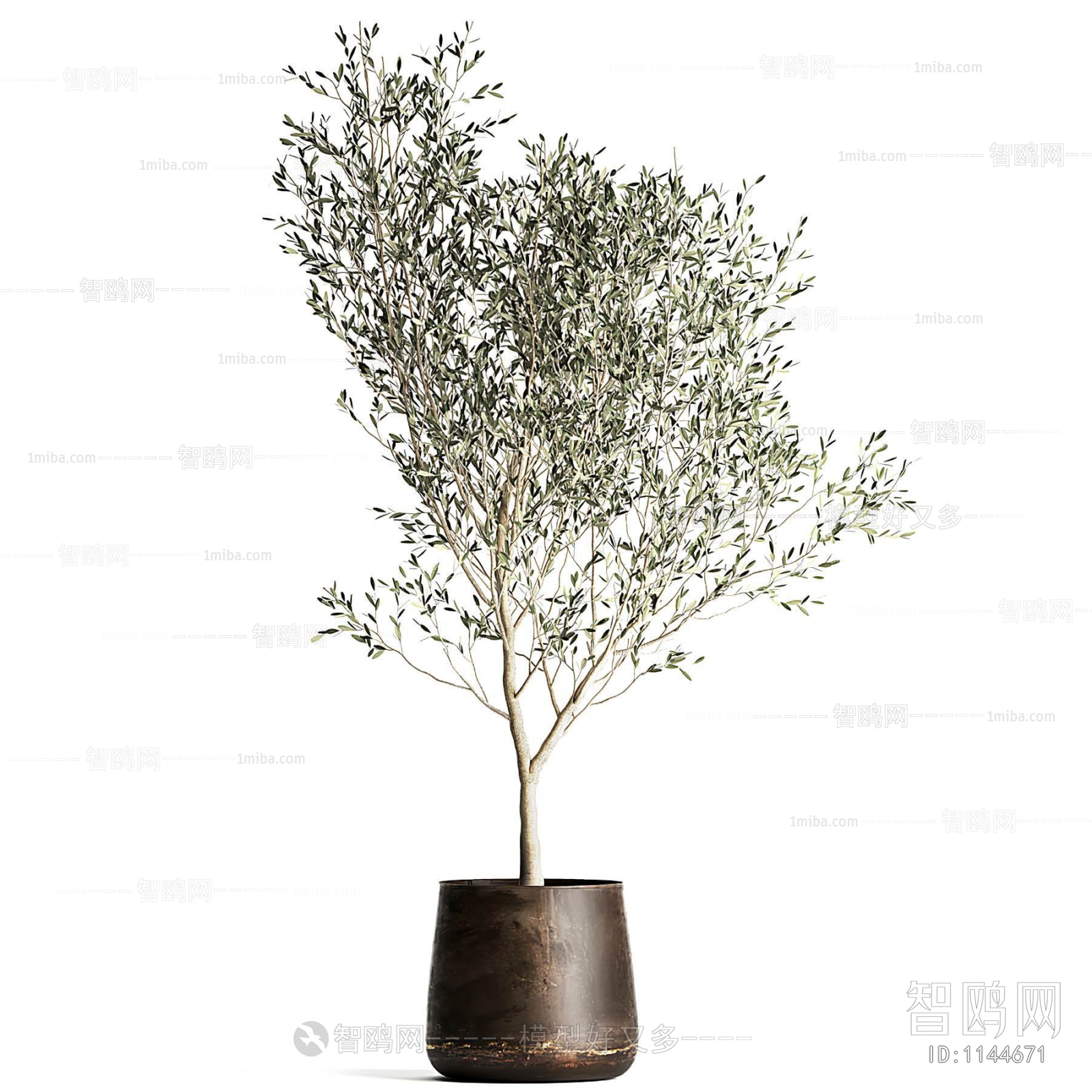 Modern Potted Green Plant