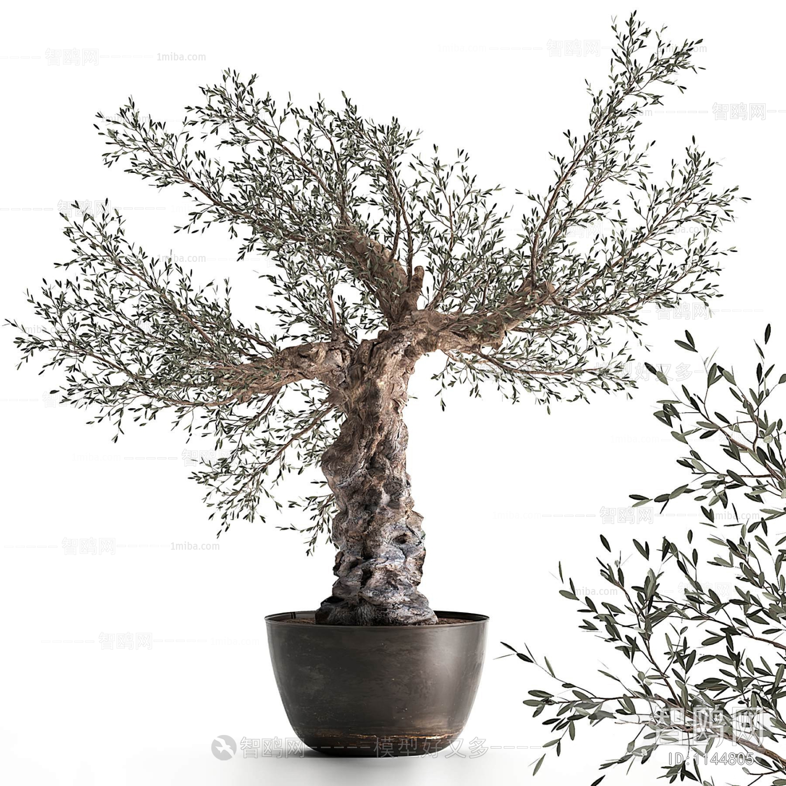 Modern Bonsai