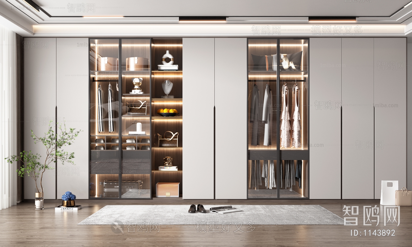 Modern Clothes Storage Area