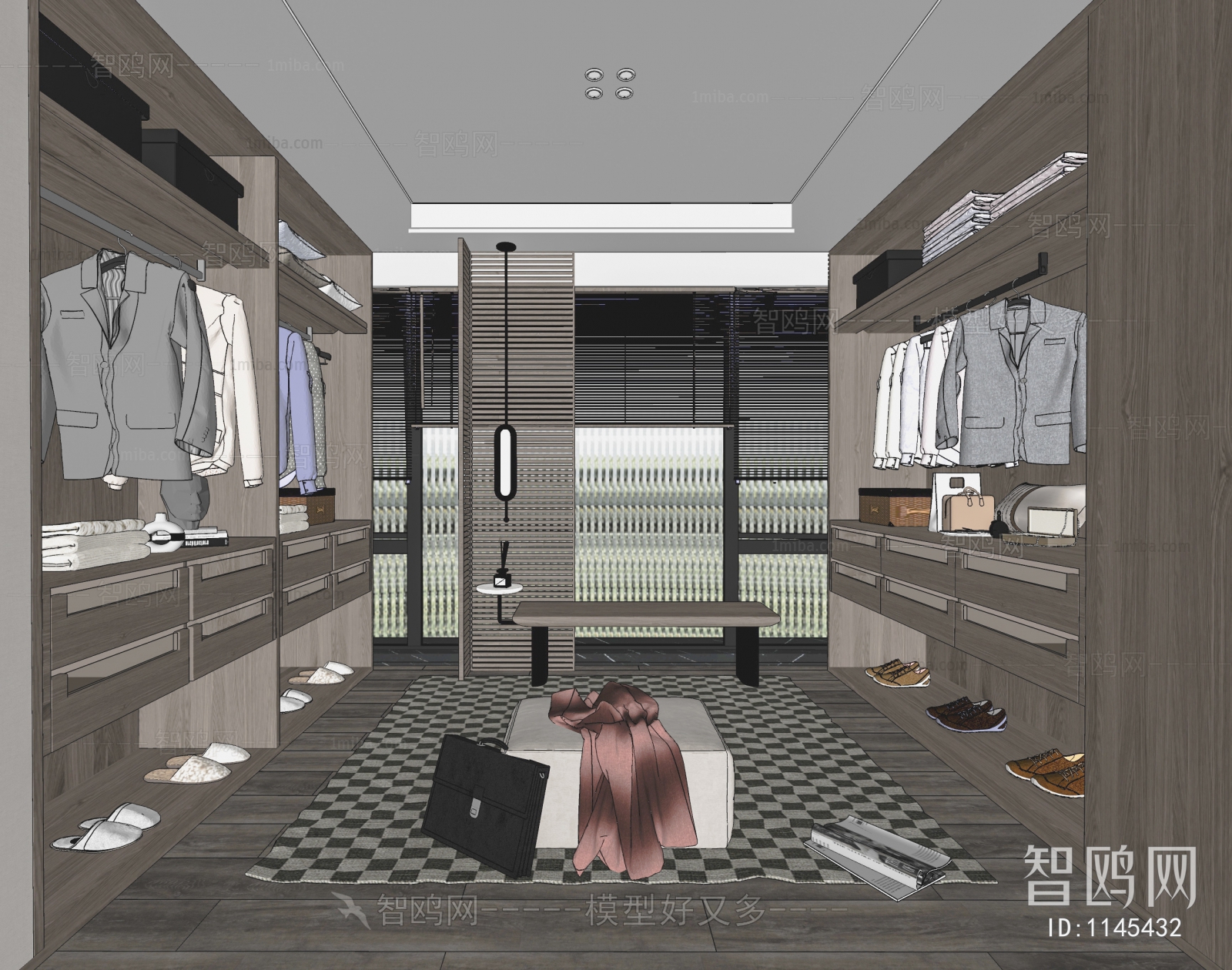 Modern Clothes Storage Area