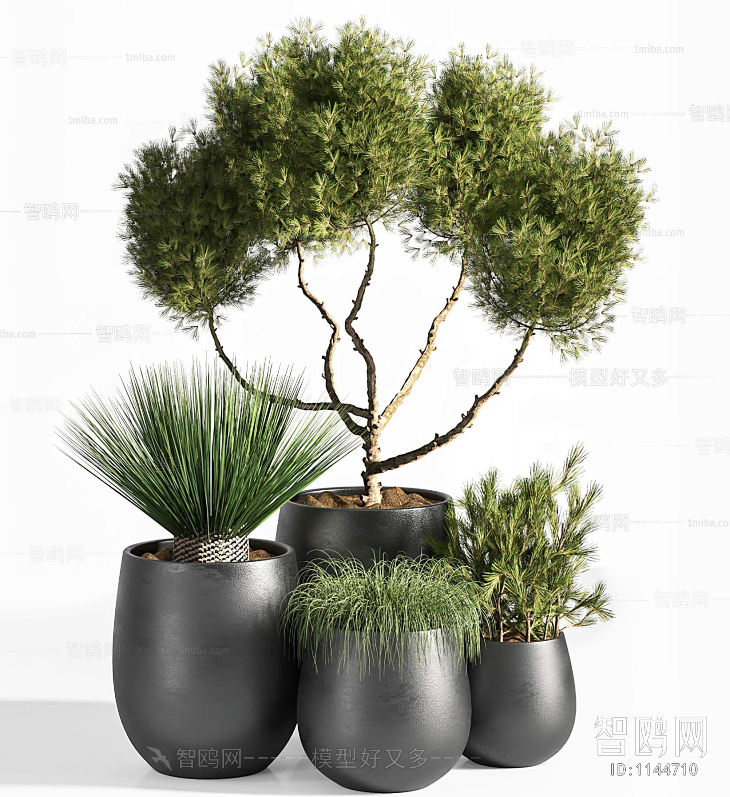 Modern Potted Green Plant