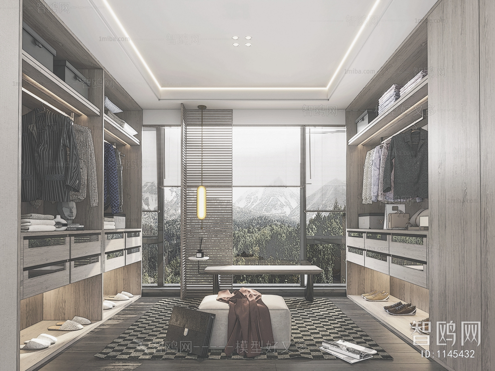 Modern Clothes Storage Area