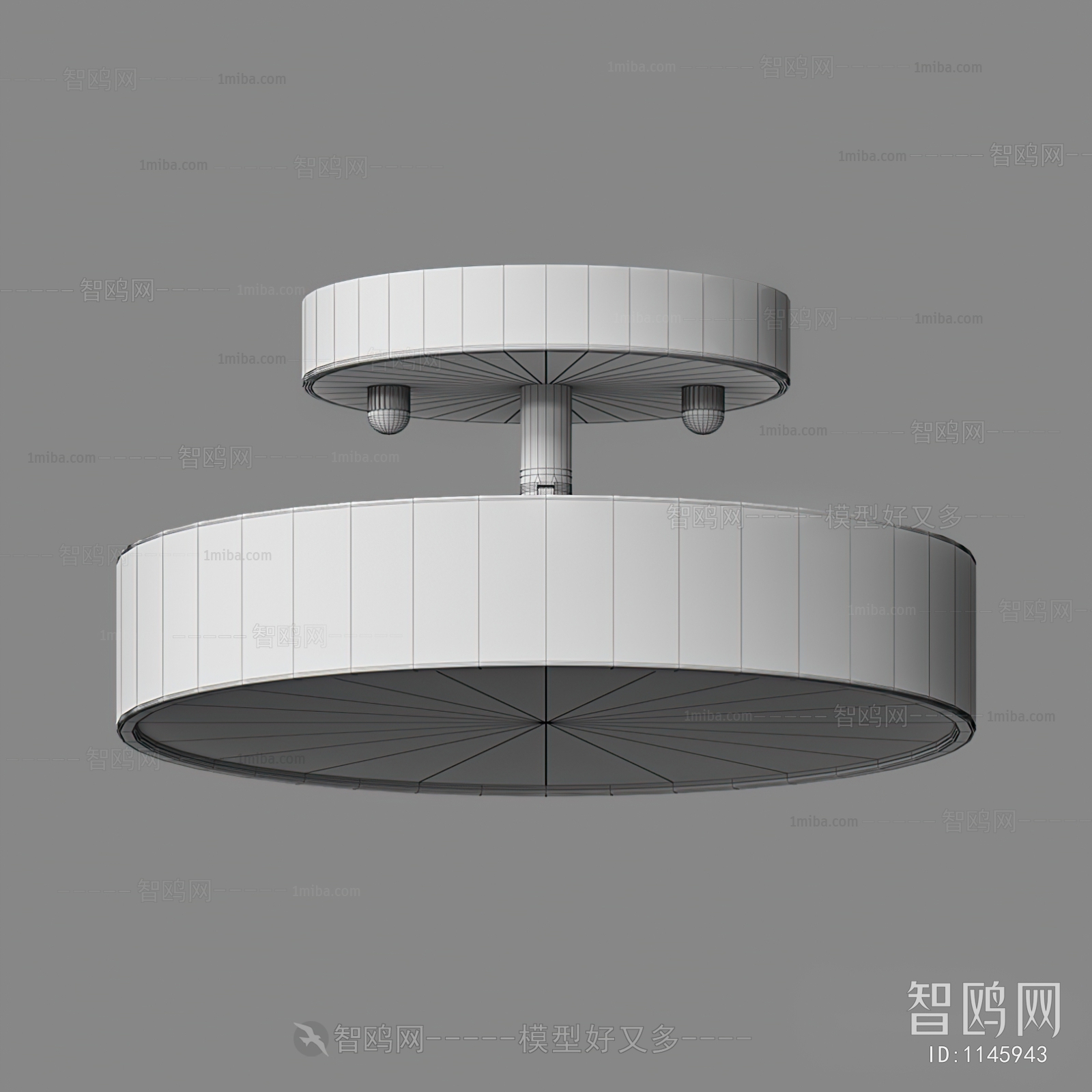 Modern Ceiling Ceiling Lamp