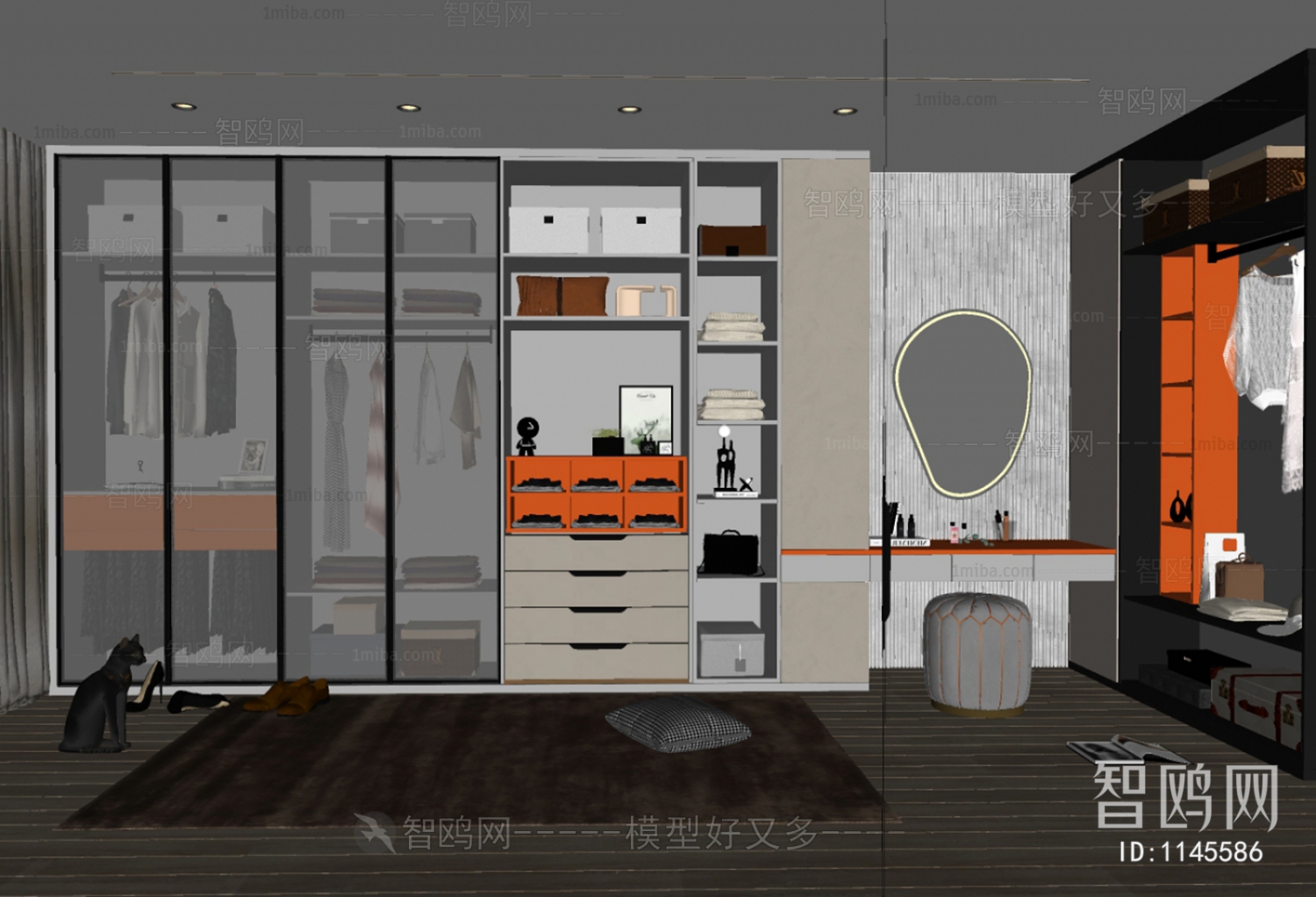 Modern Clothes Storage Area