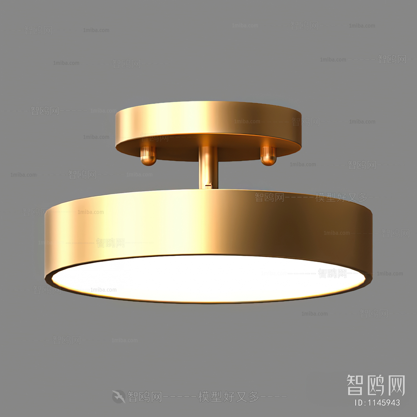 Modern Ceiling Ceiling Lamp