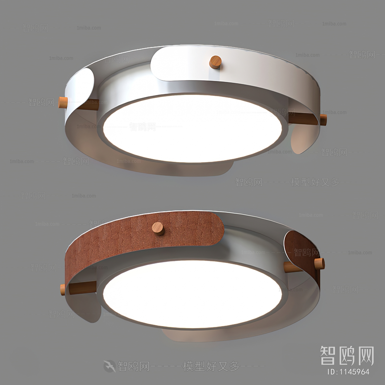 Modern Ceiling Ceiling Lamp