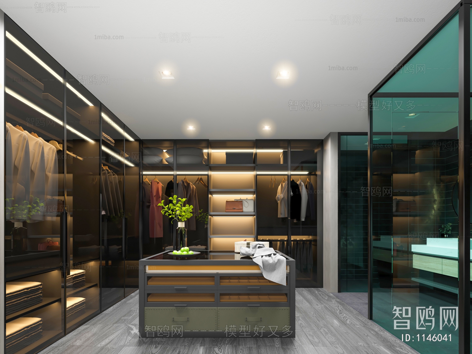 Modern Clothes Storage Area