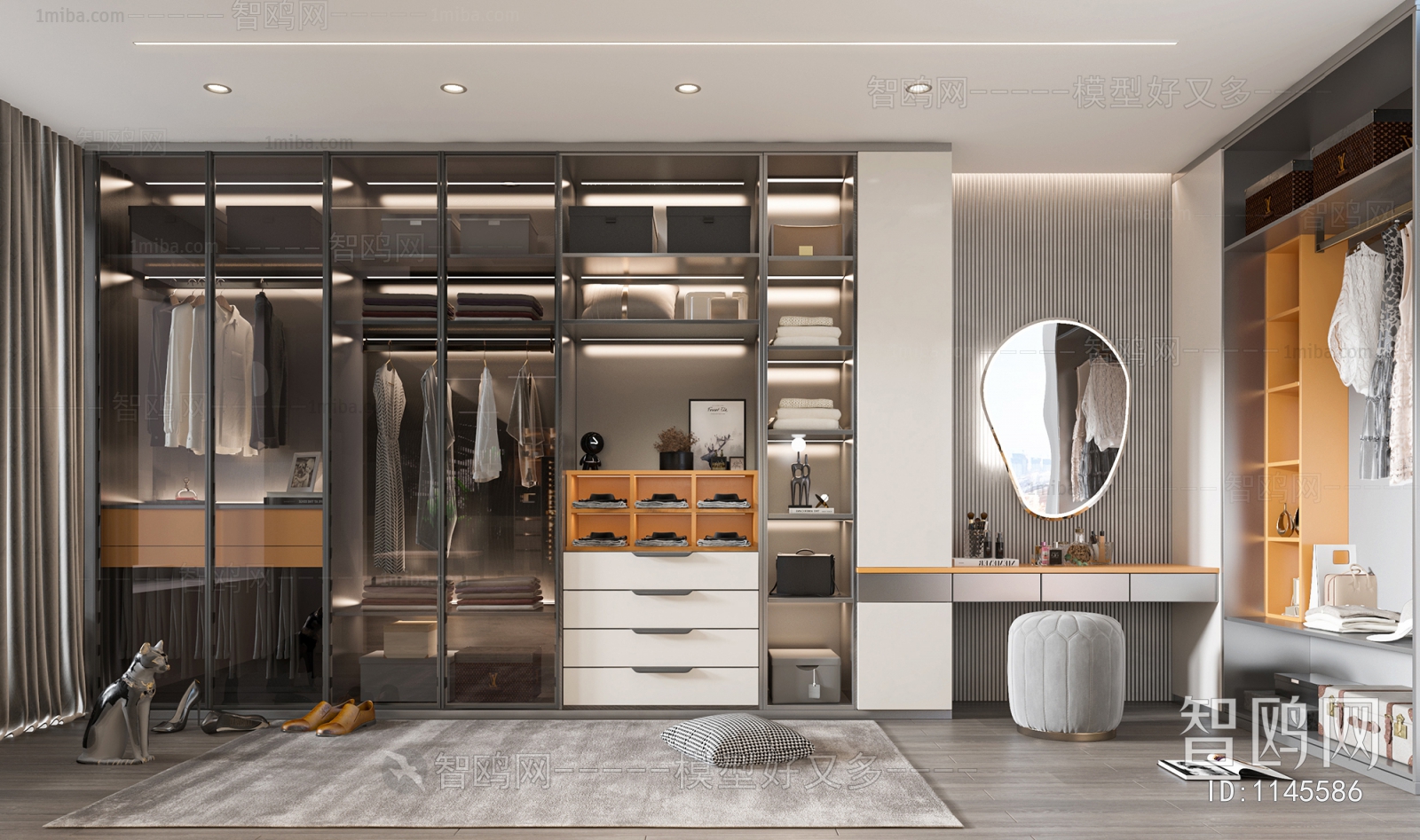 Modern Clothes Storage Area