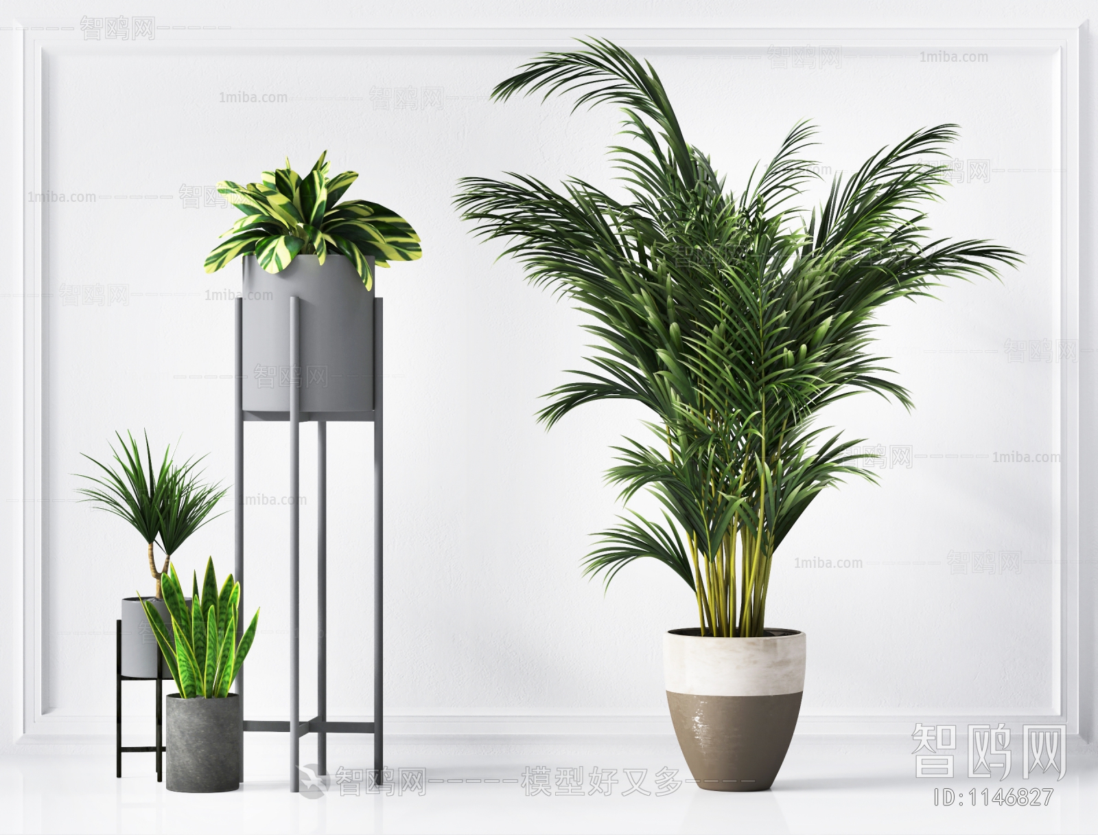 Modern Potted Green Plant