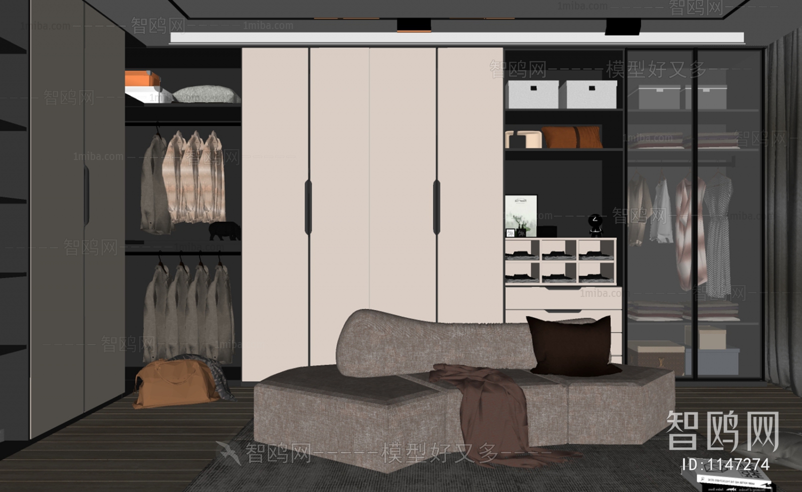 Modern Clothes Storage Area