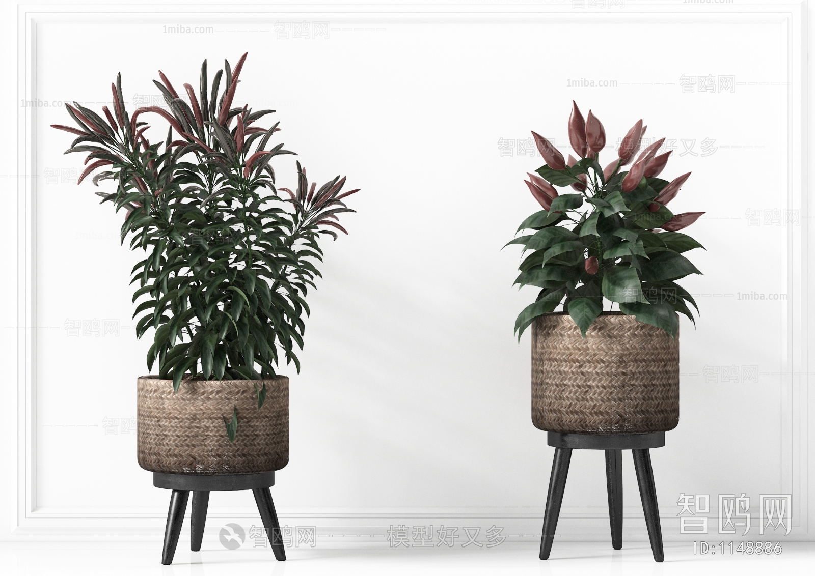 Modern Potted Green Plant