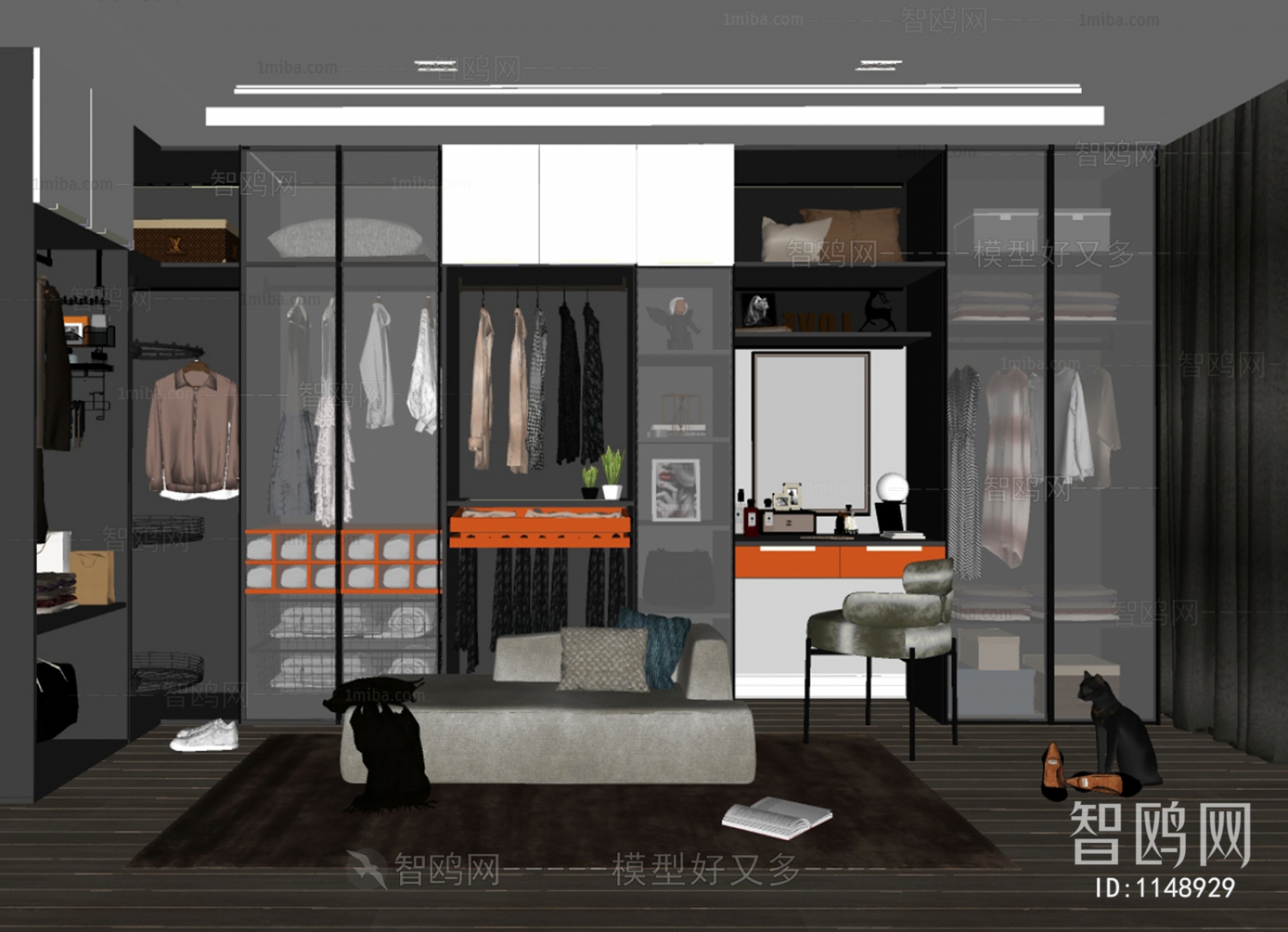 Modern Clothes Storage Area