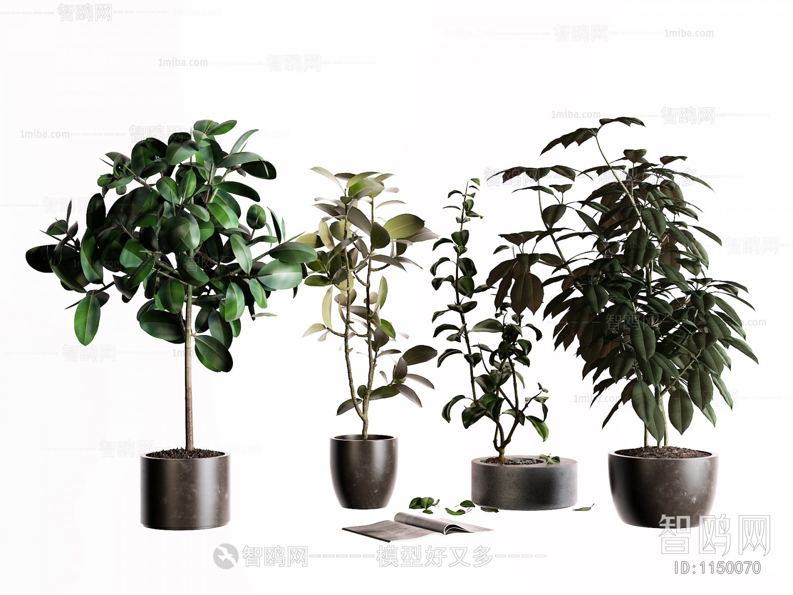 Modern Potted Green Plant