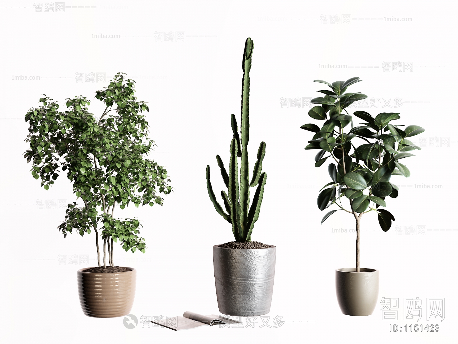 Modern Potted Green Plant