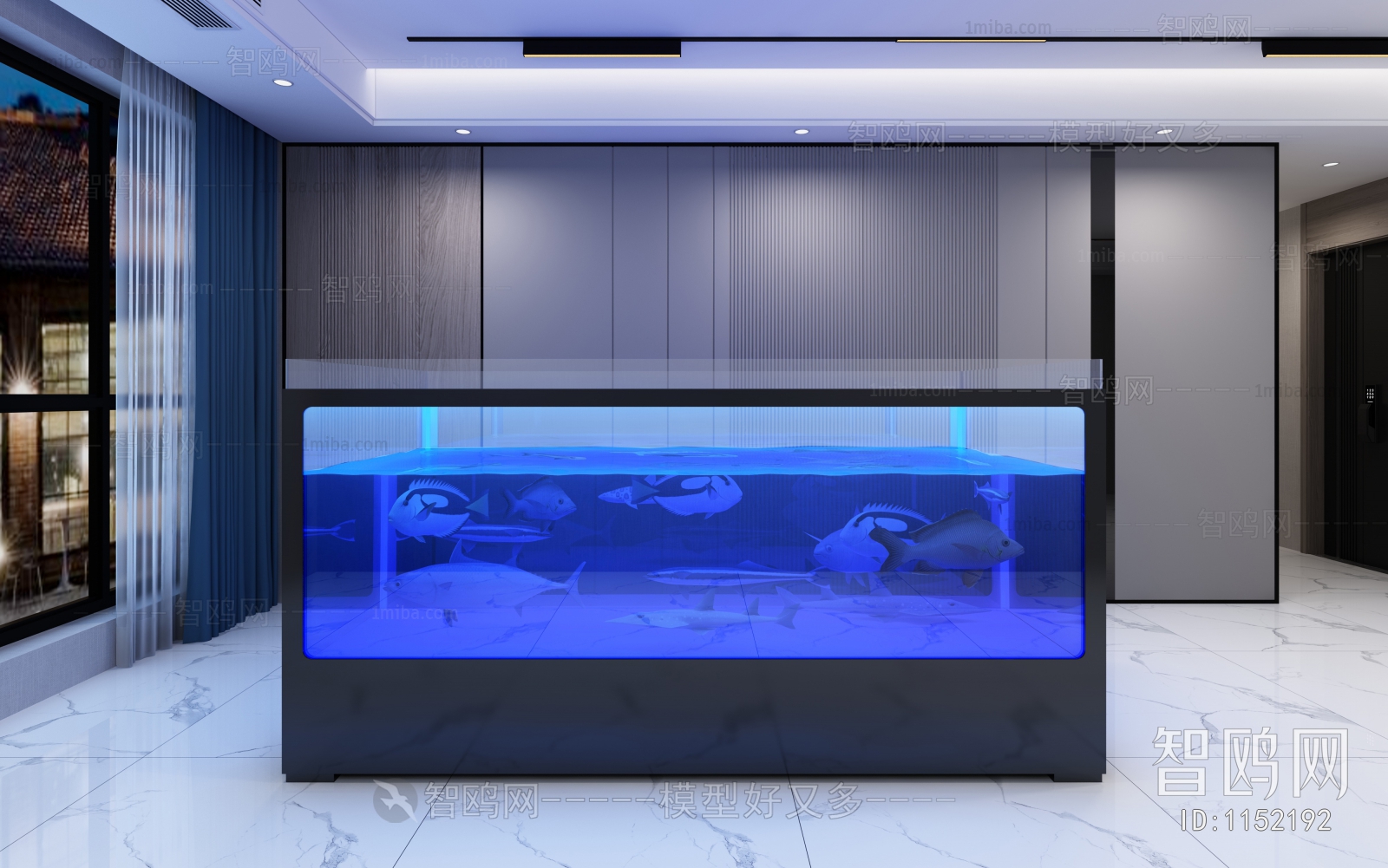 Modern Fish Tank