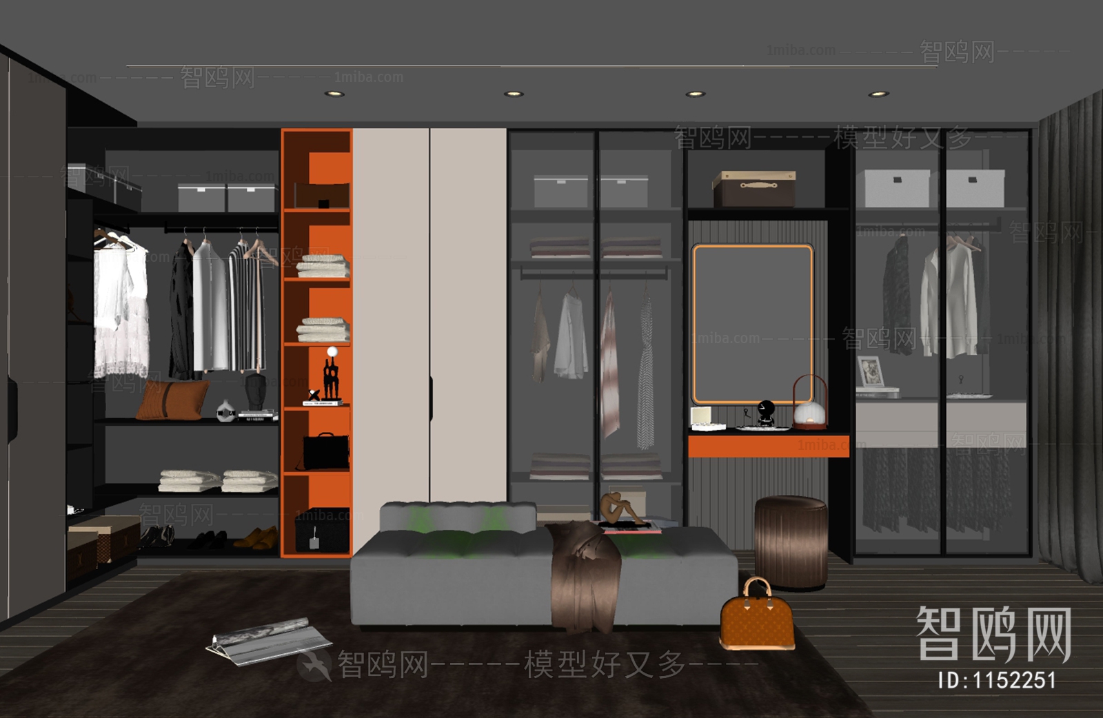 Modern Clothes Storage Area