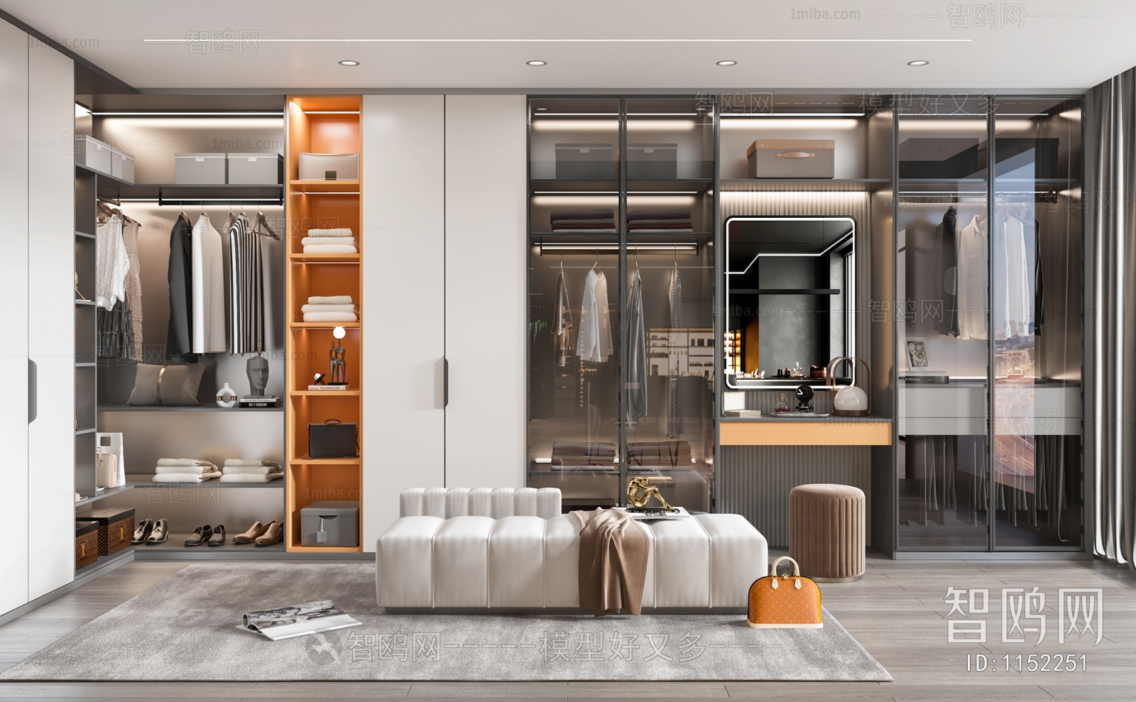 Modern Clothes Storage Area