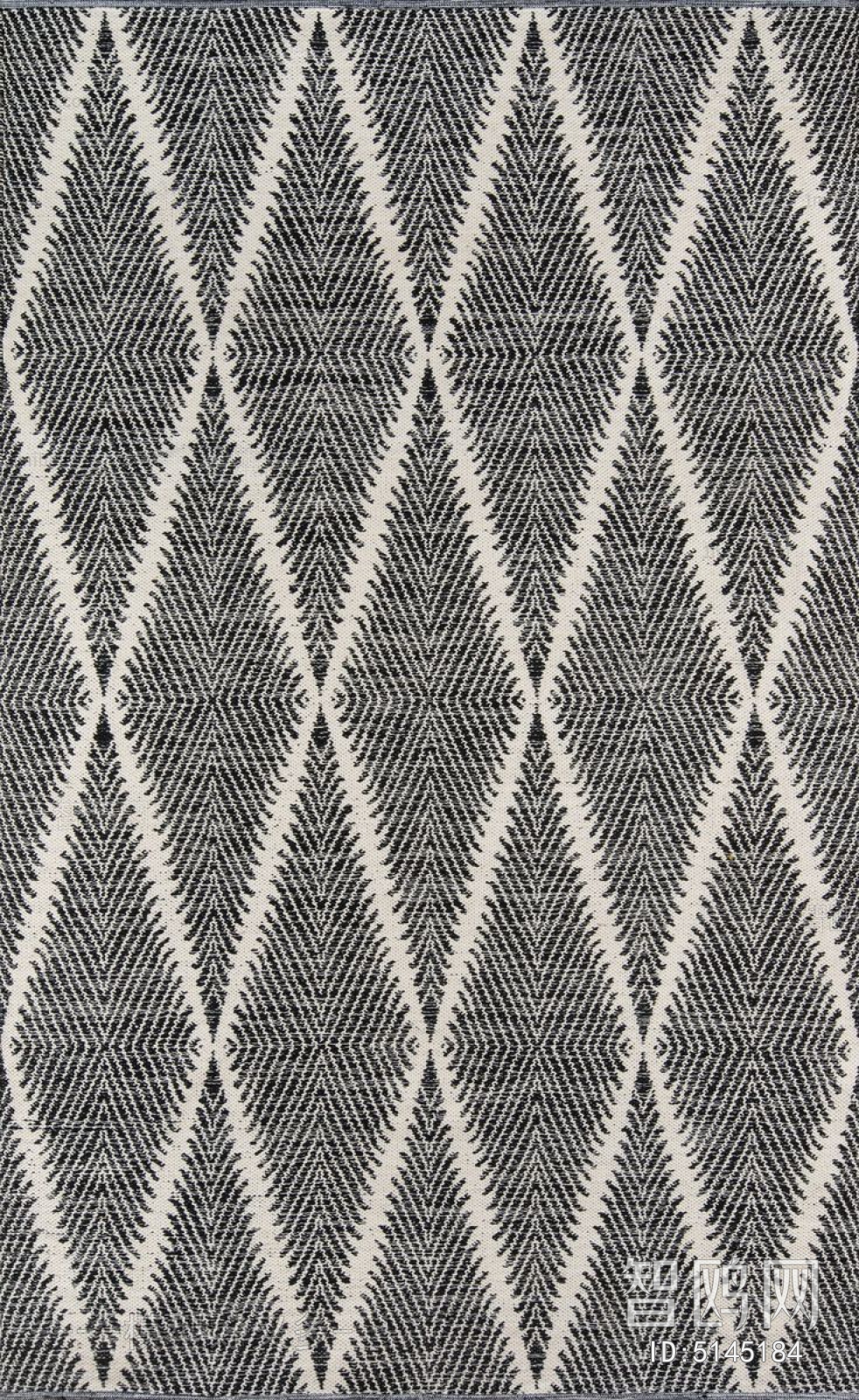 Modern Rug