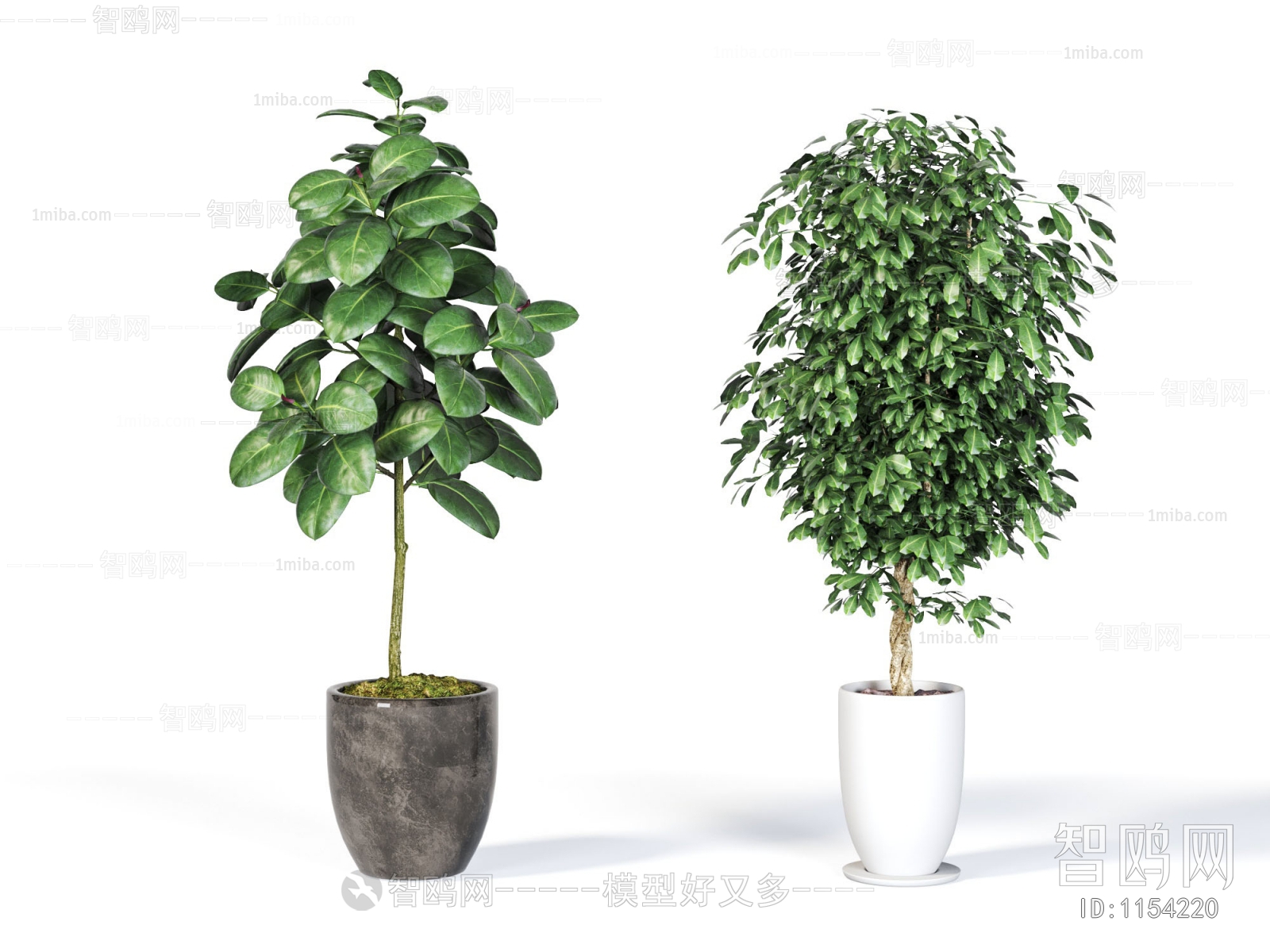 Modern Potted Green Plant