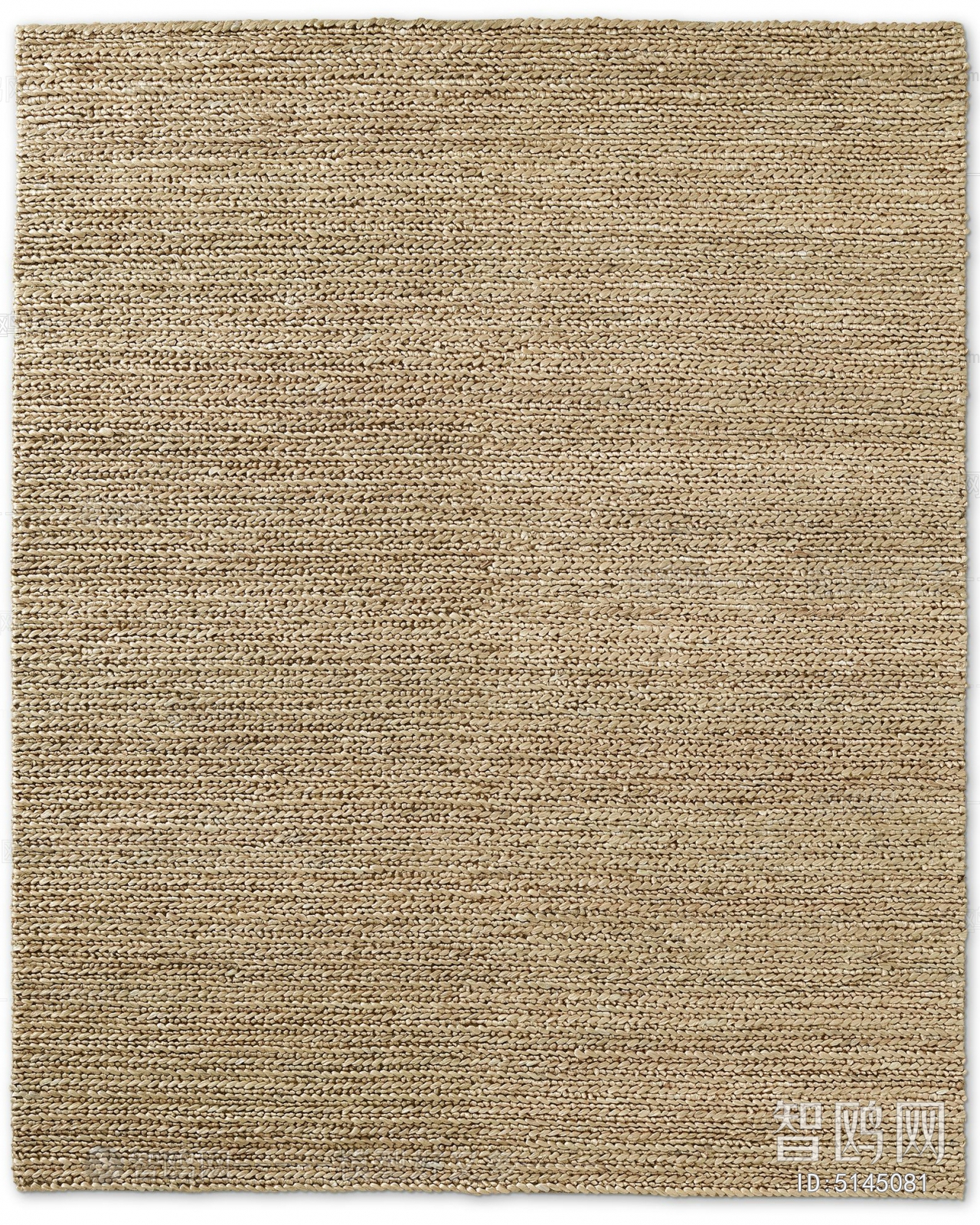 Modern Rug