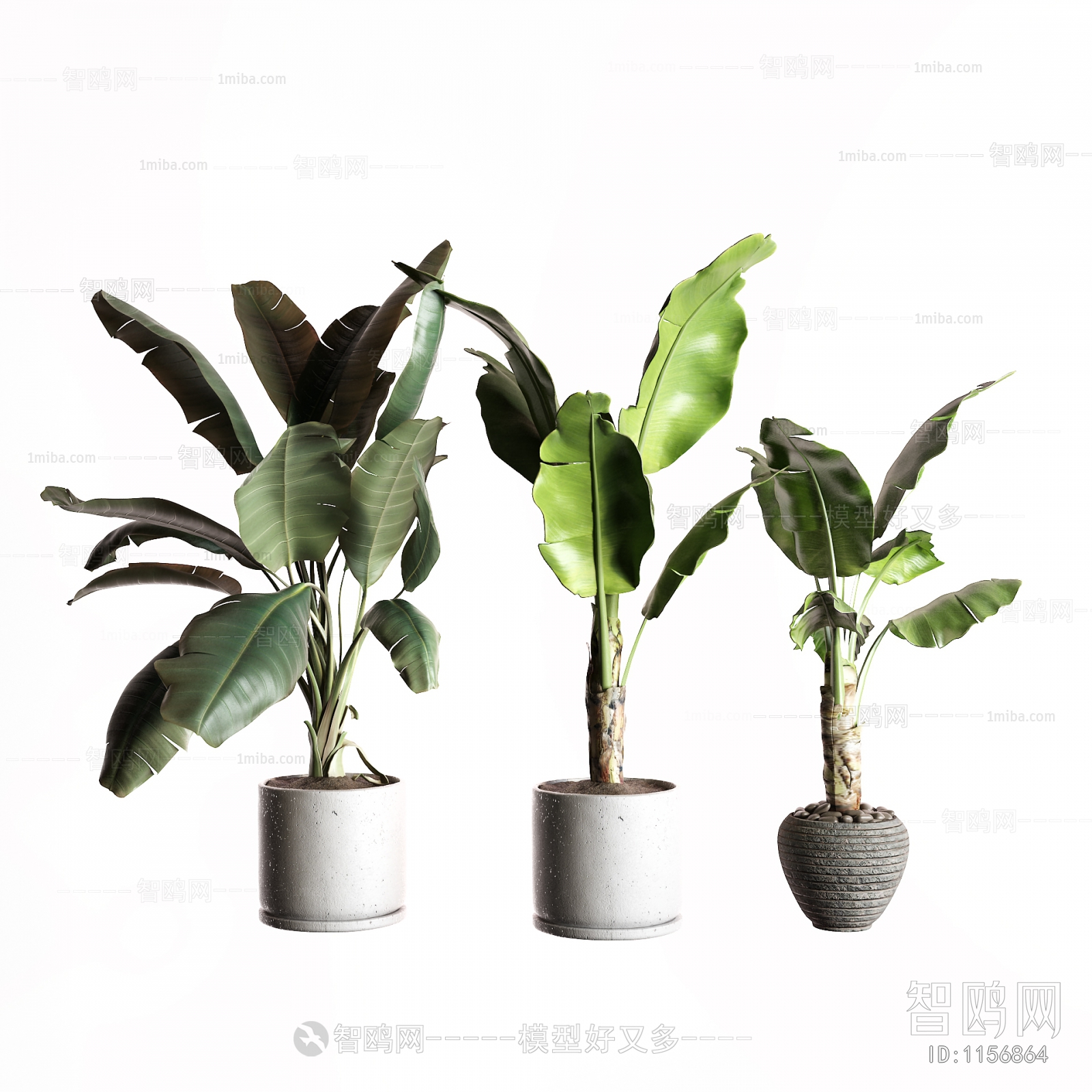 Modern Potted Green Plant