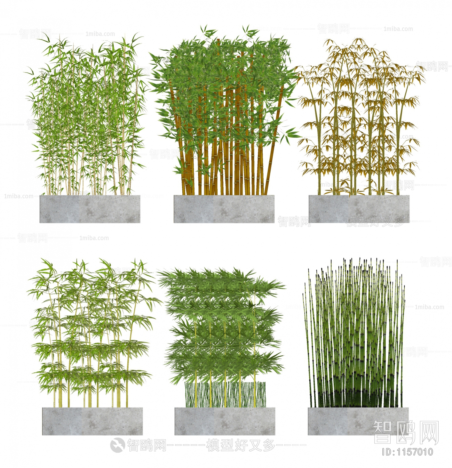 现代竹子盆栽组合