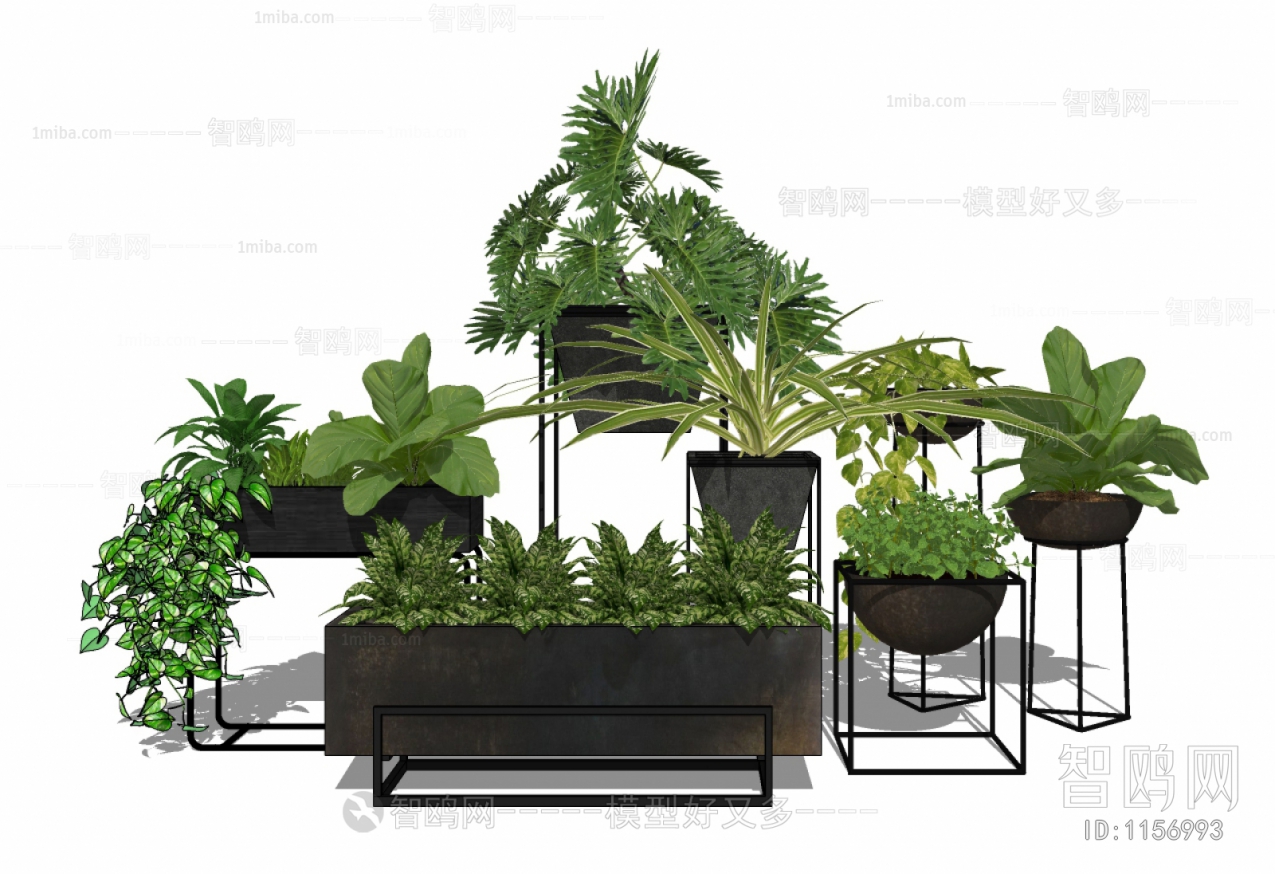 Modern Potted Green Plant