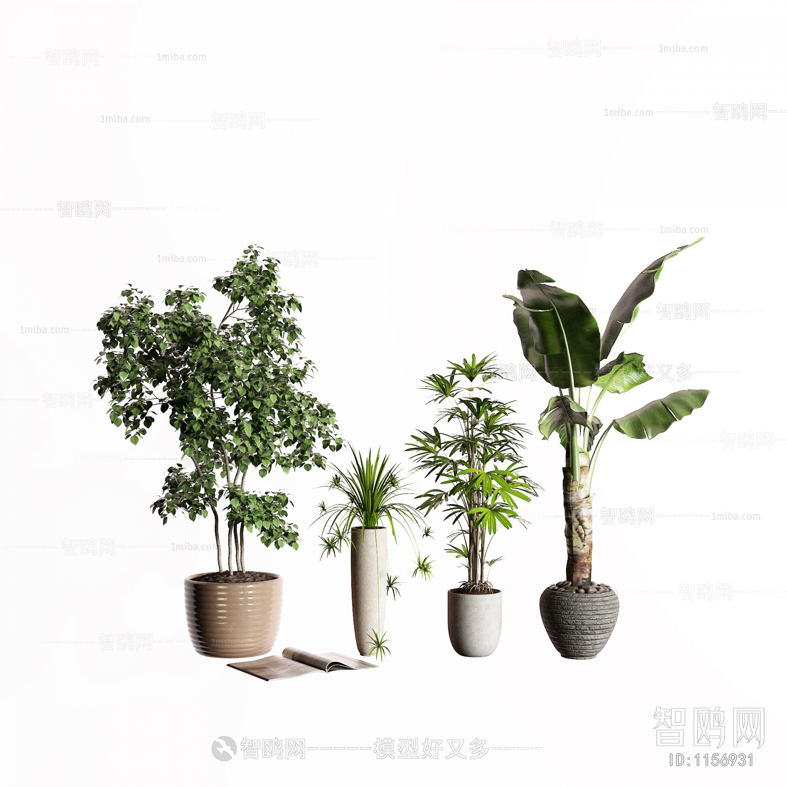 Modern Potted Green Plant