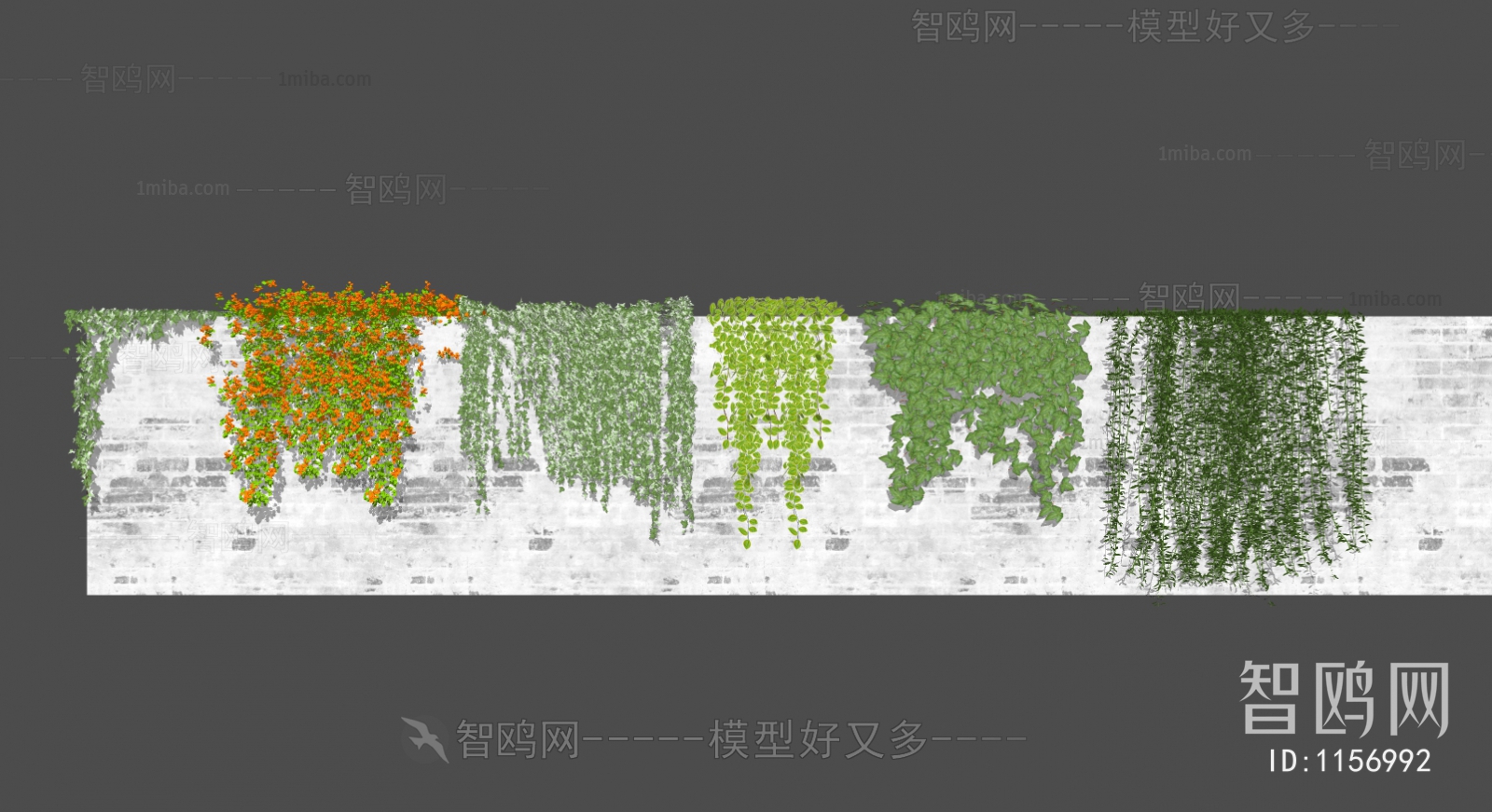 现代爬墙虎植物墙